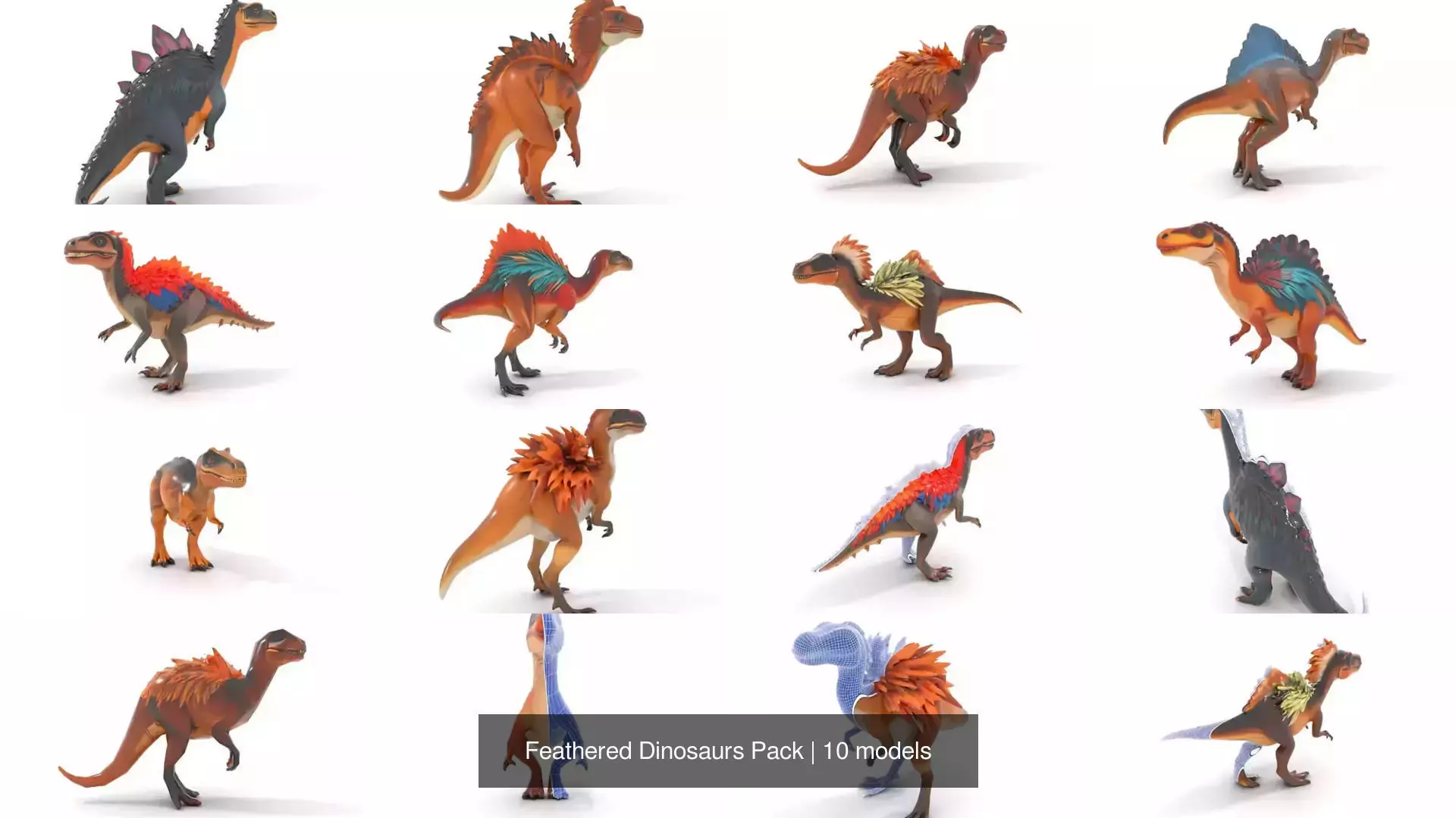 Feathered Dinosaurs Pack 3D Model Collection_0