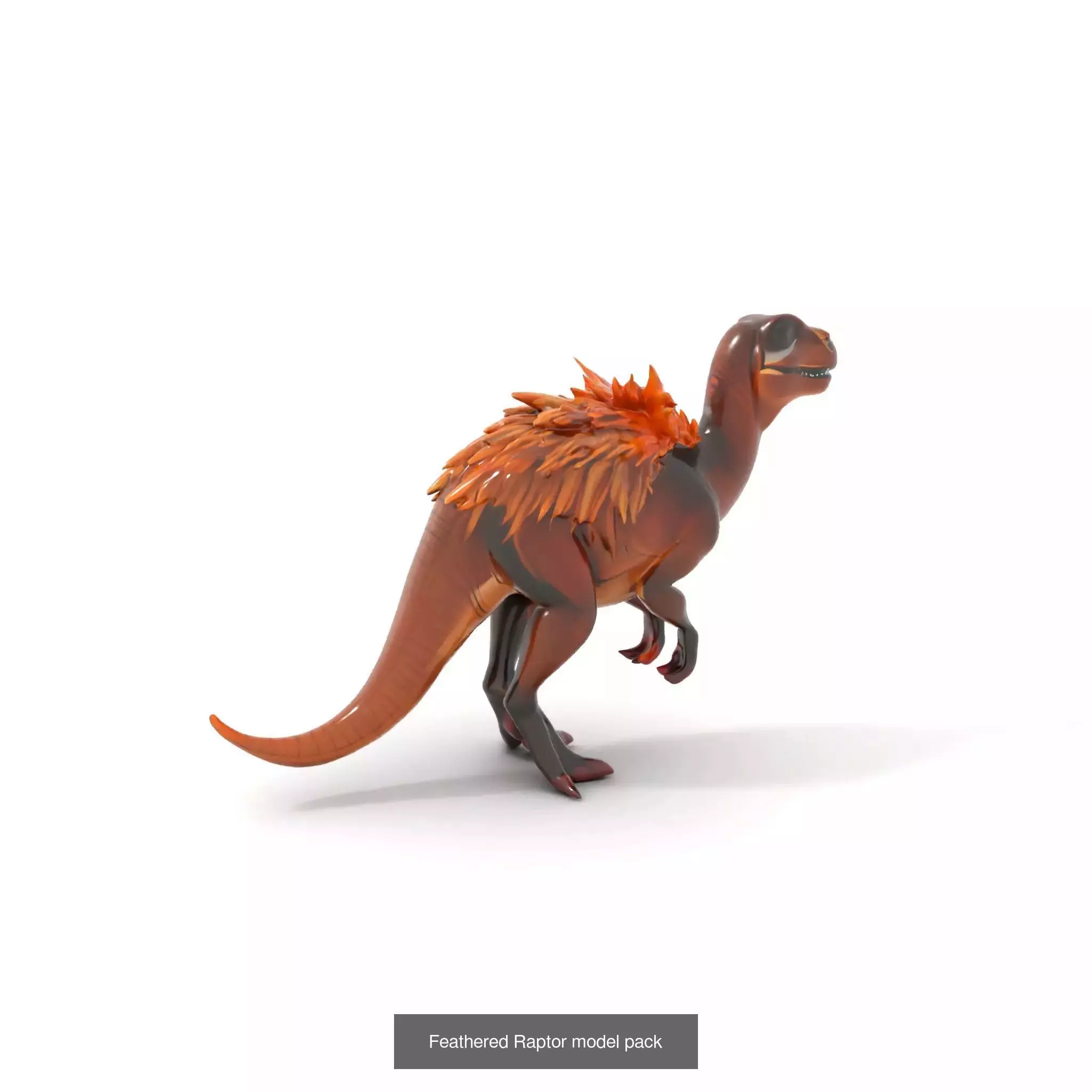 Feathered Dinosaurs Pack 3D Model Collection_19