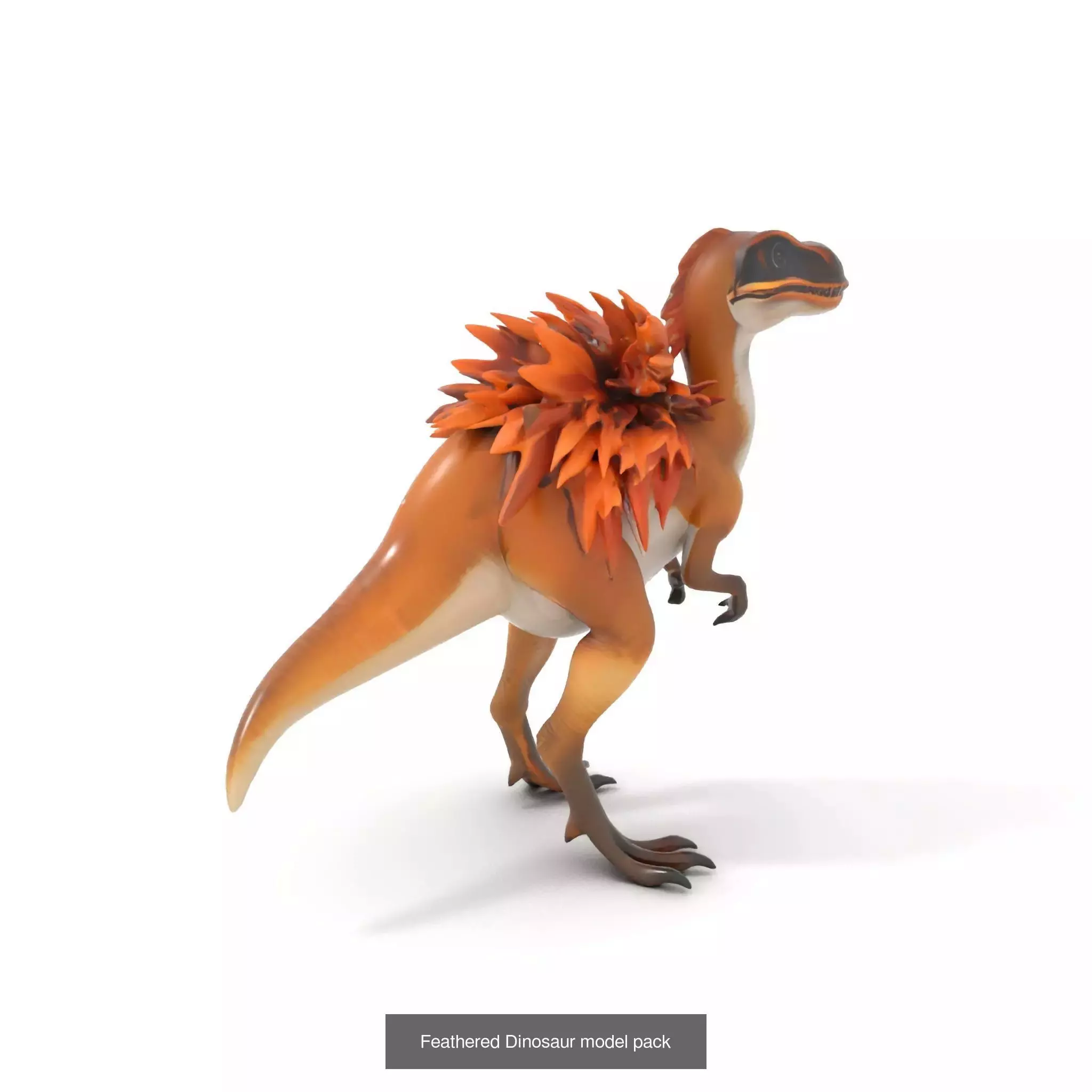 Feathered Dinosaurs Pack 3D Model Collection_26