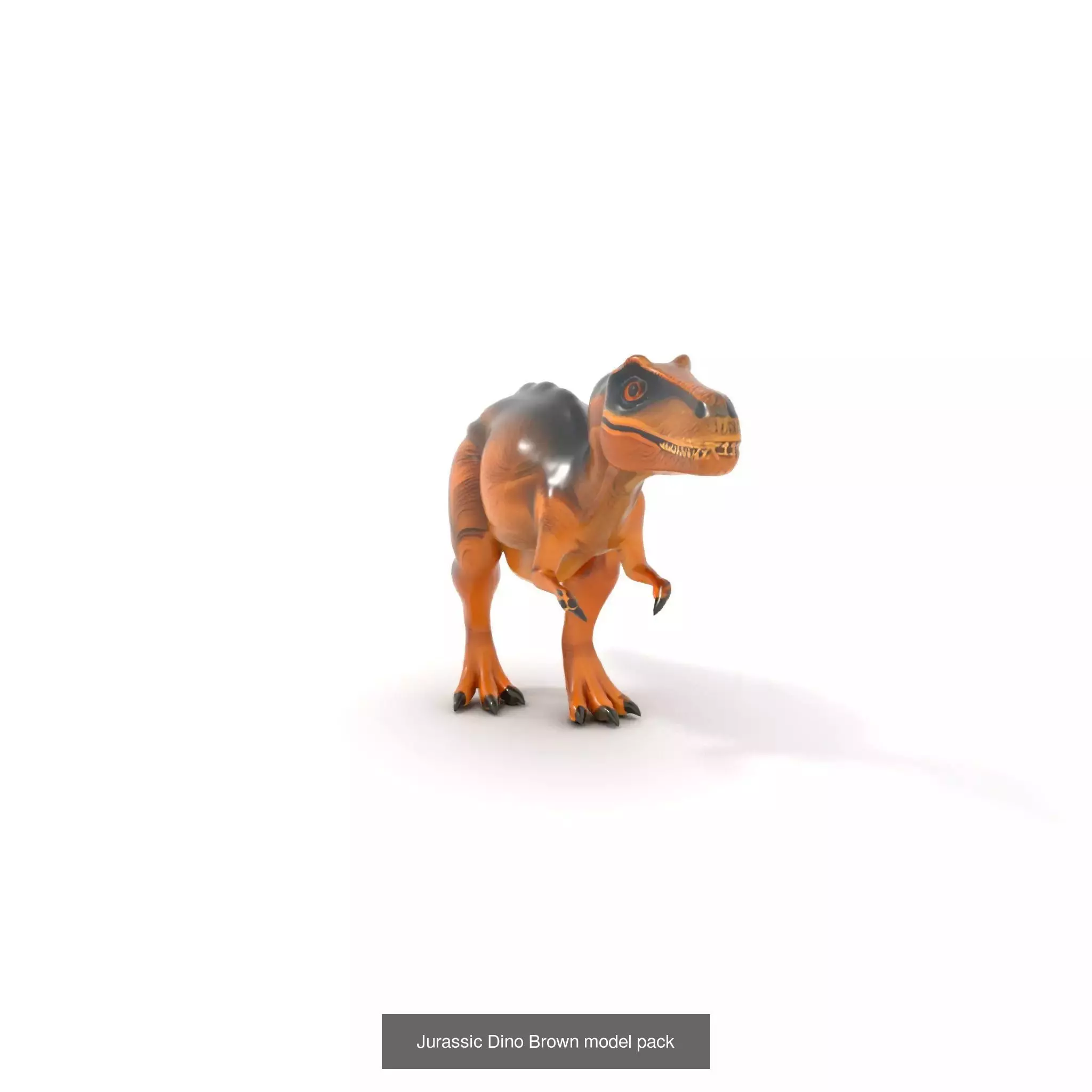 Feathered Dinosaurs Pack 3D Model Collection_25