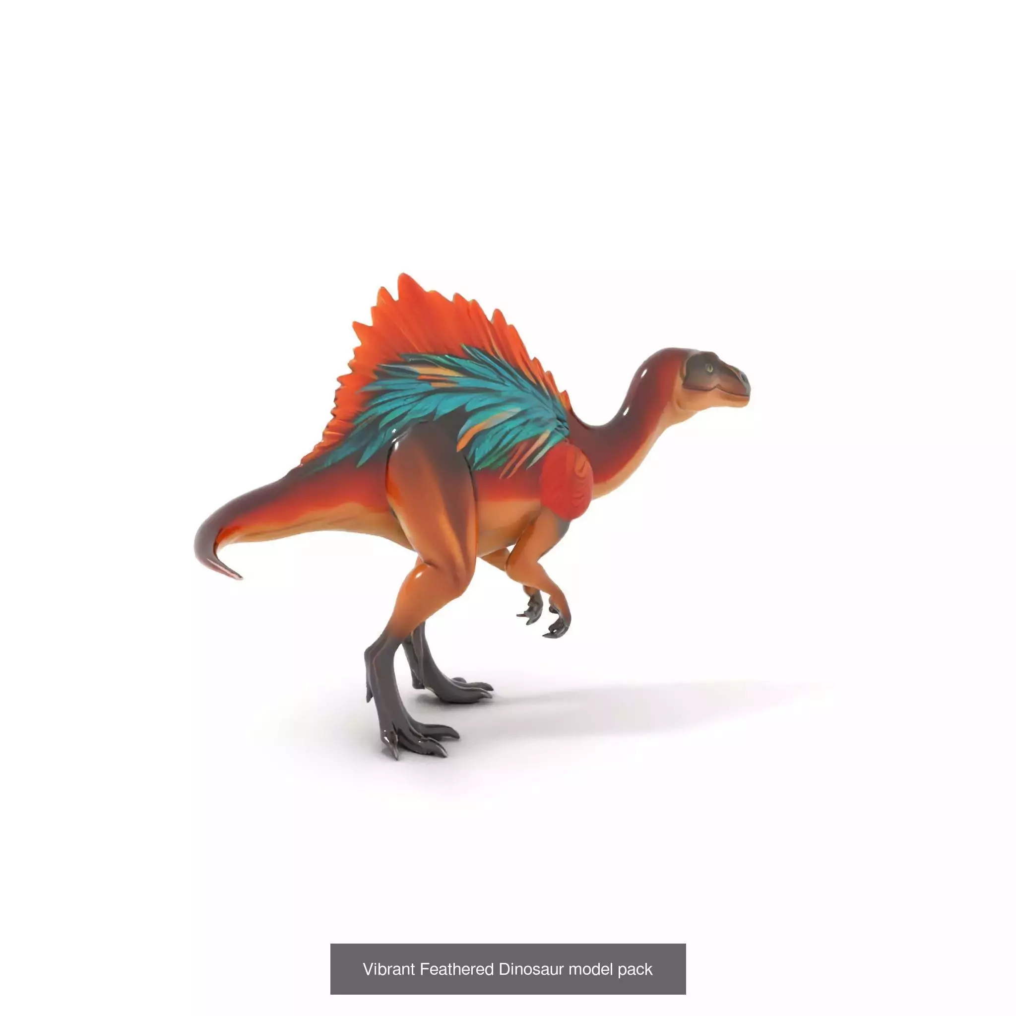 Feathered Dinosaurs Pack 3D Model Collection_22