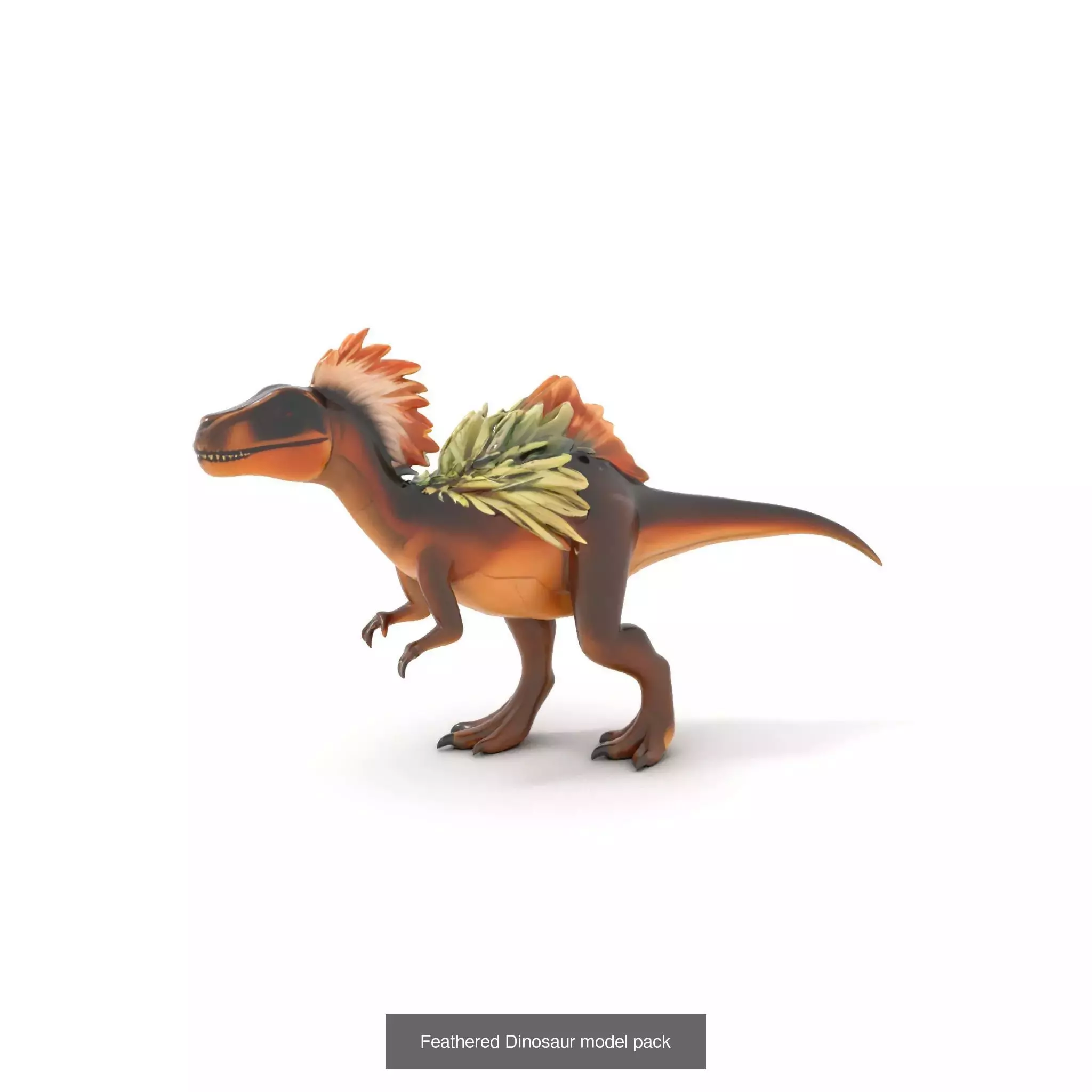 Feathered Dinosaurs Pack 3D Model Collection_23