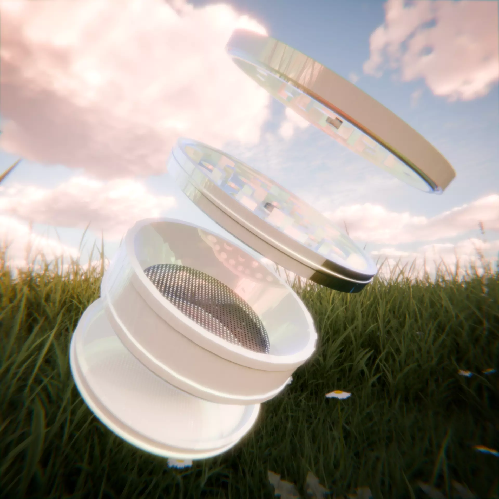 Herb Grinder 3D Model 3D model_1