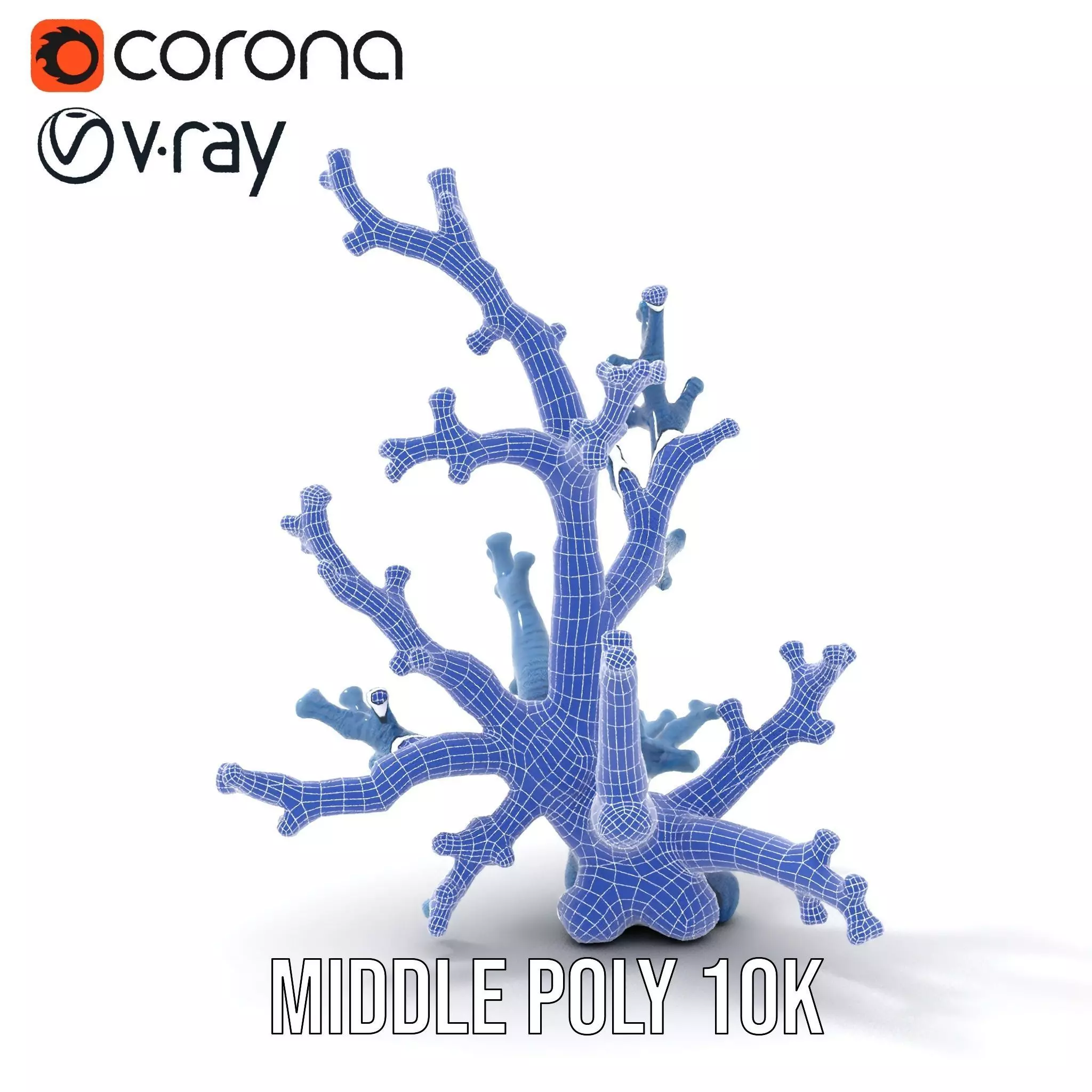 Blue Coral Sculpture model pack Low-poly 3D model_20