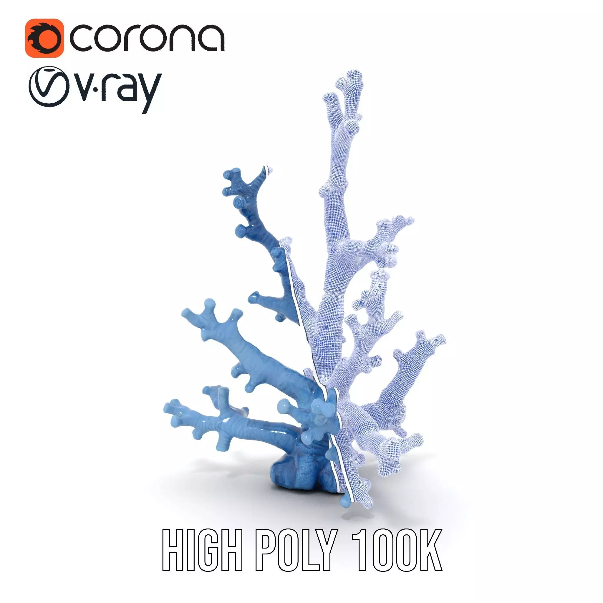 Blue Coral Sculpture model pack Low-poly 3D model_33