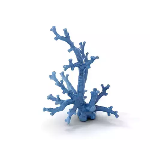 Blue Coral Sculpture model pack Low-poly 3D model