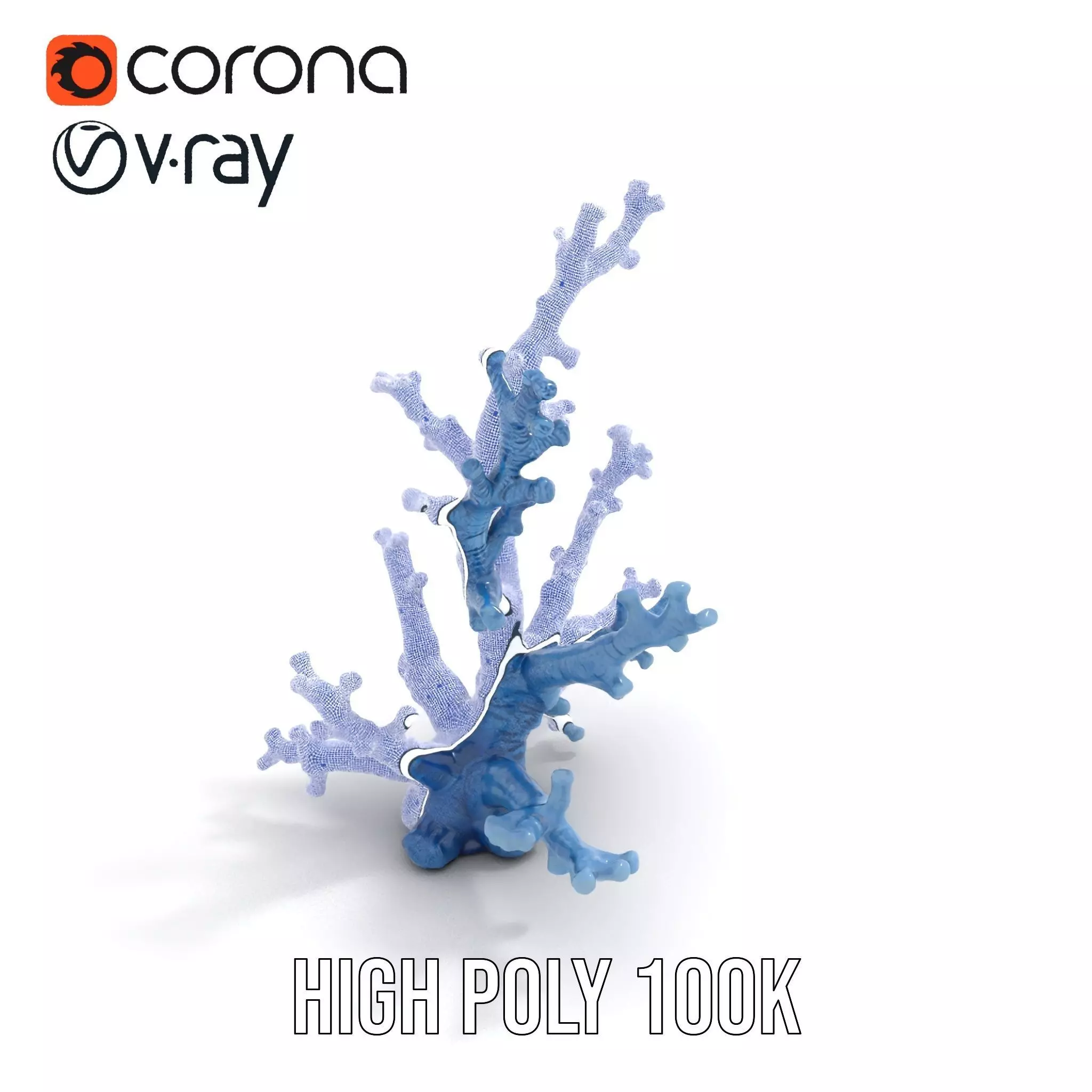 Blue Coral Sculpture model pack Low-poly 3D model_19