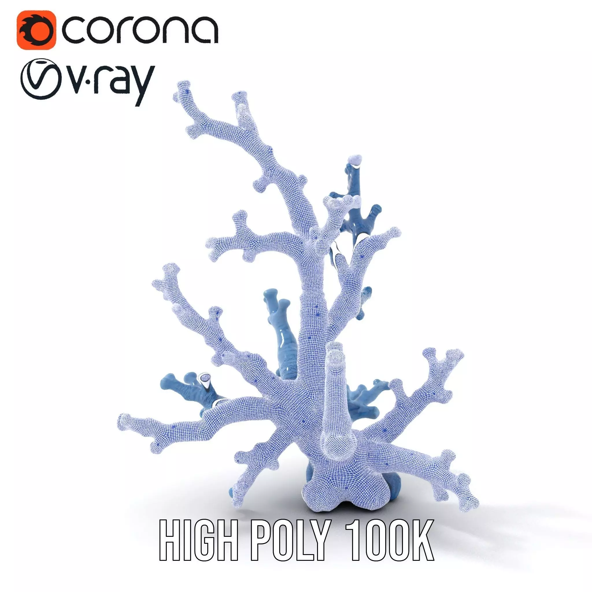 Blue Coral Sculpture model pack Low-poly 3D model_34