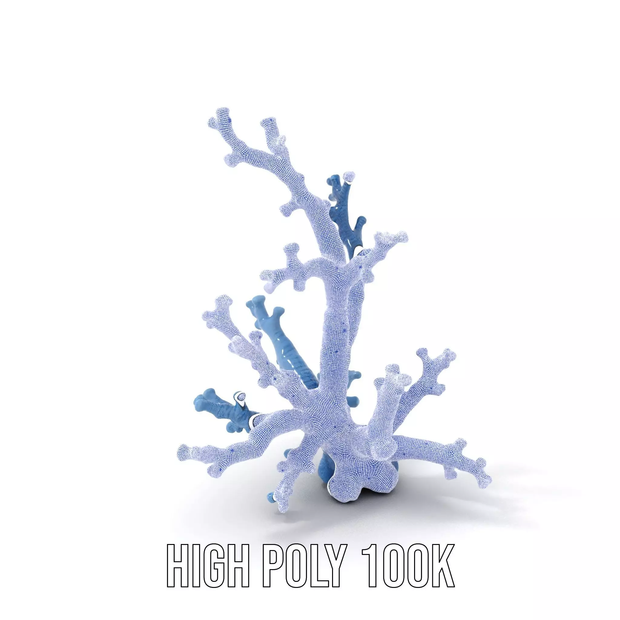 Blue Coral Sculpture model pack Low-poly 3D model_4