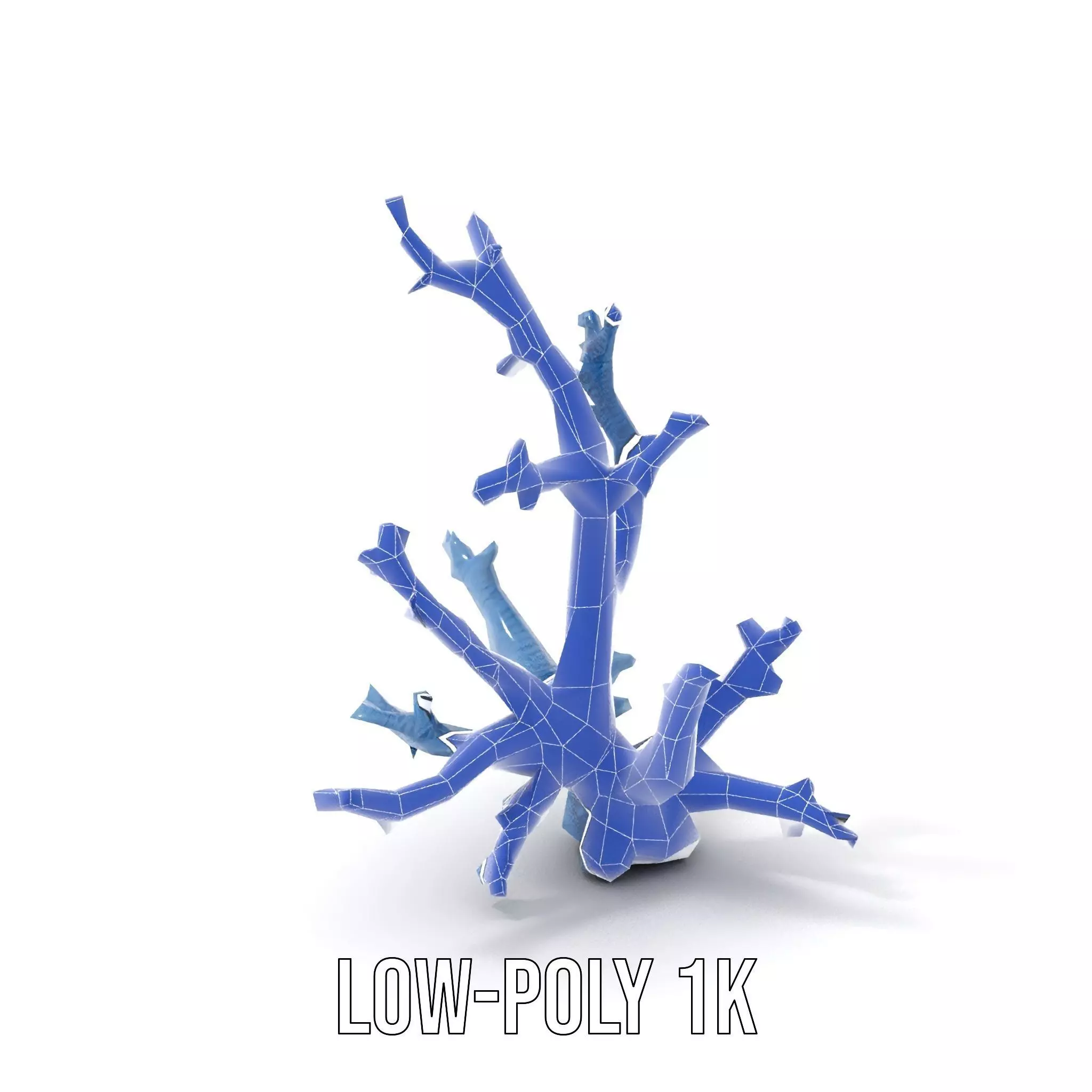 Blue Coral Sculpture model pack Low-poly 3D model_16