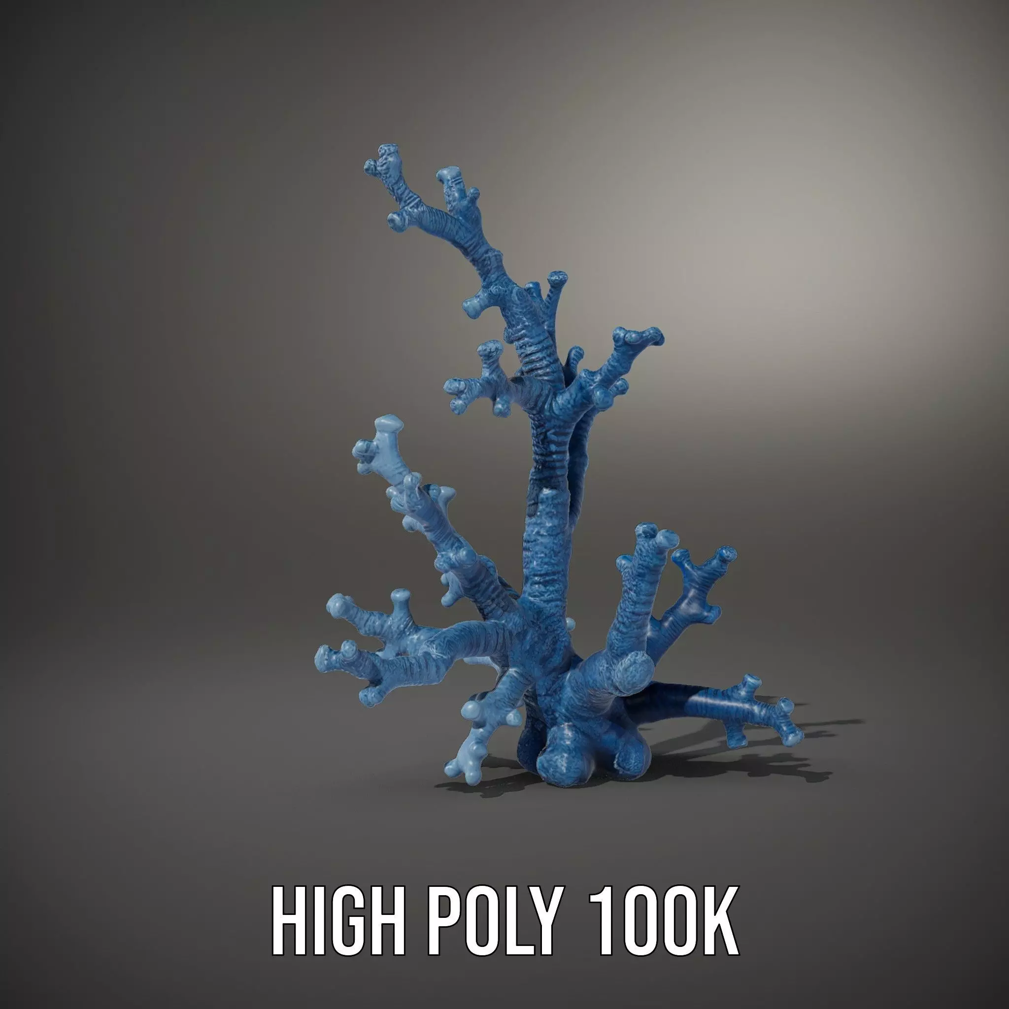 Blue Coral Sculpture model pack Low-poly 3D model_8