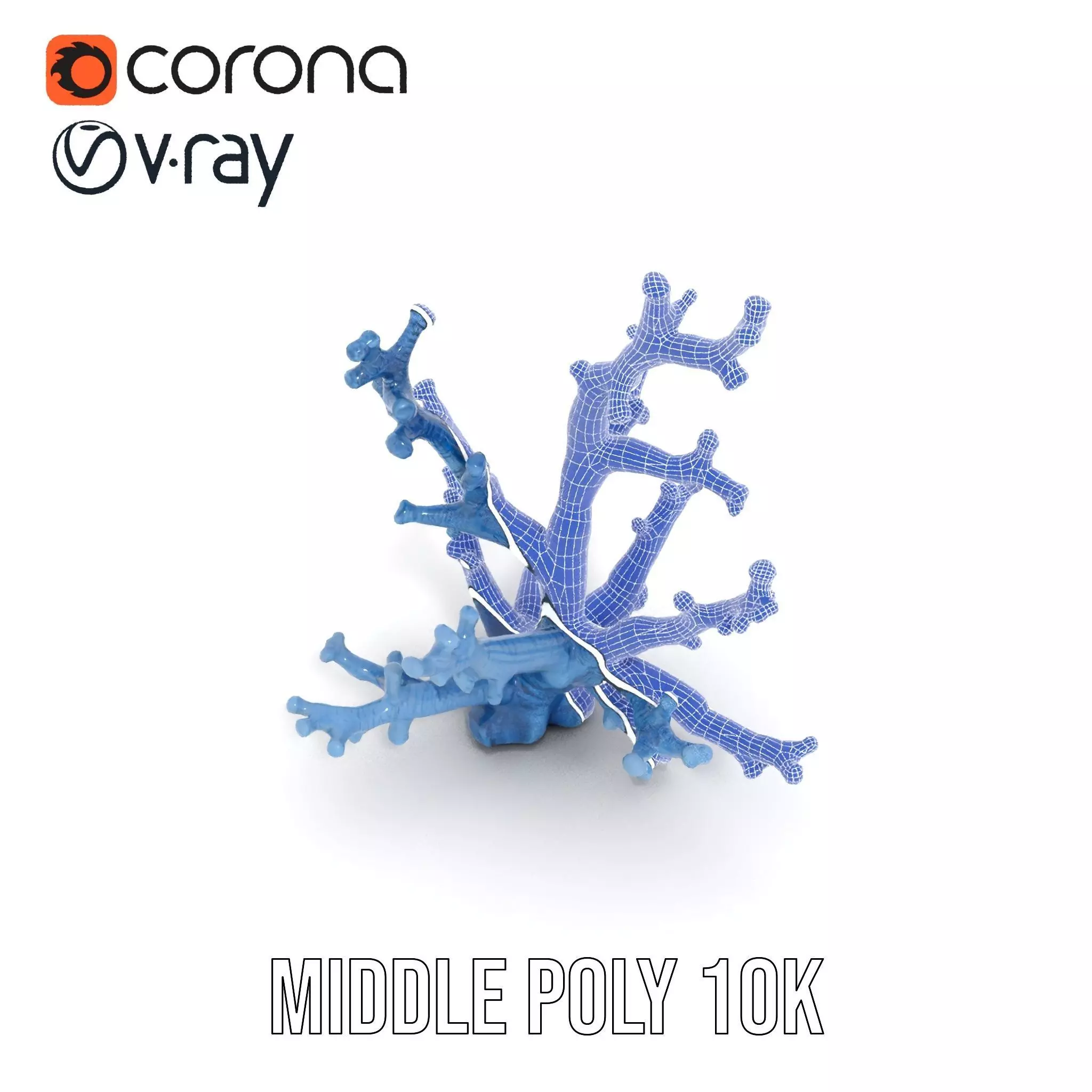 Blue Coral Sculpture model pack Low-poly 3D model_29