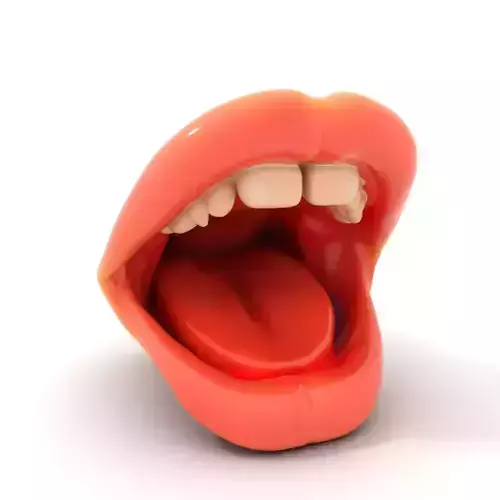 Realistic Open Mouth model pack