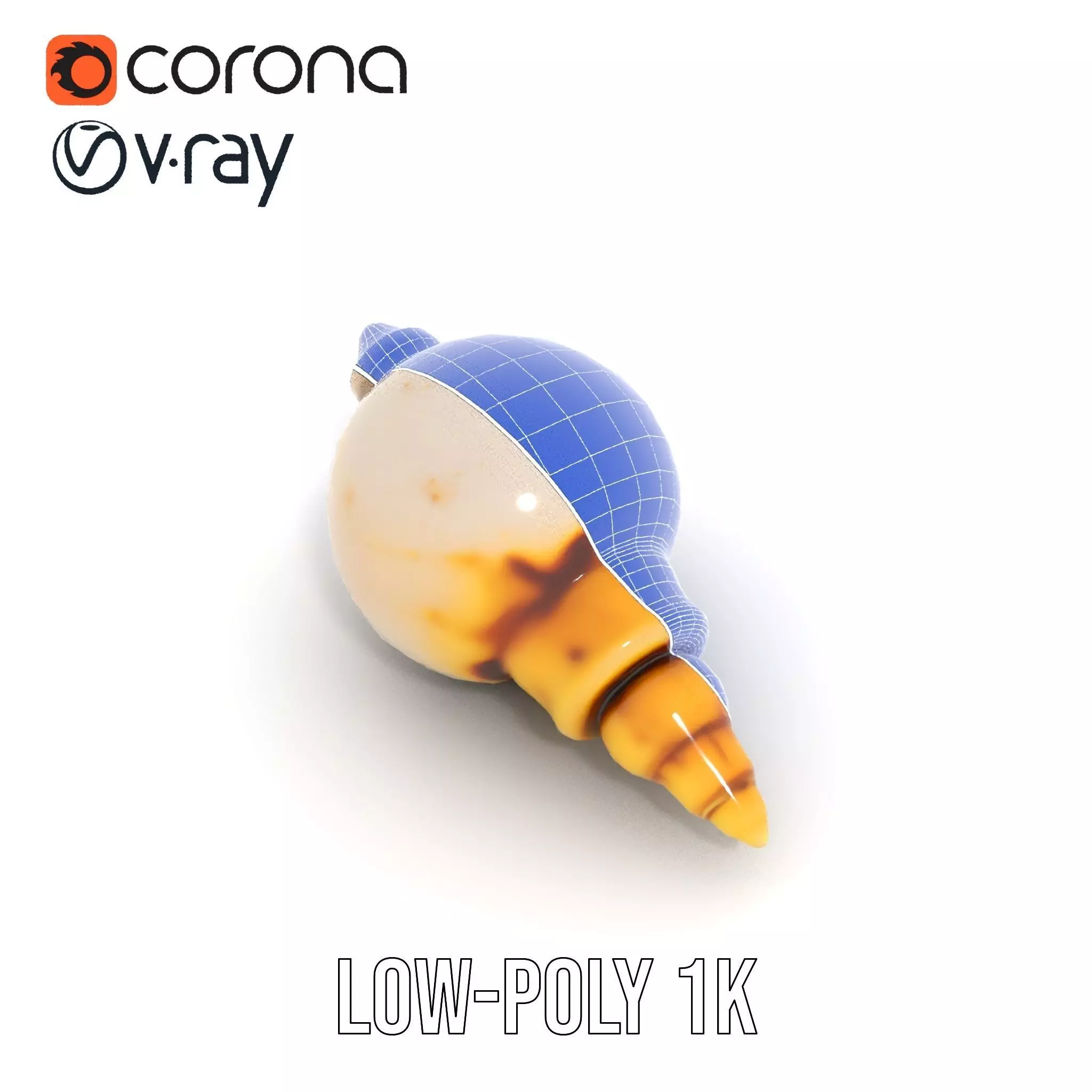 Elegant Sea Shell model pack Low-poly 3D model_12
