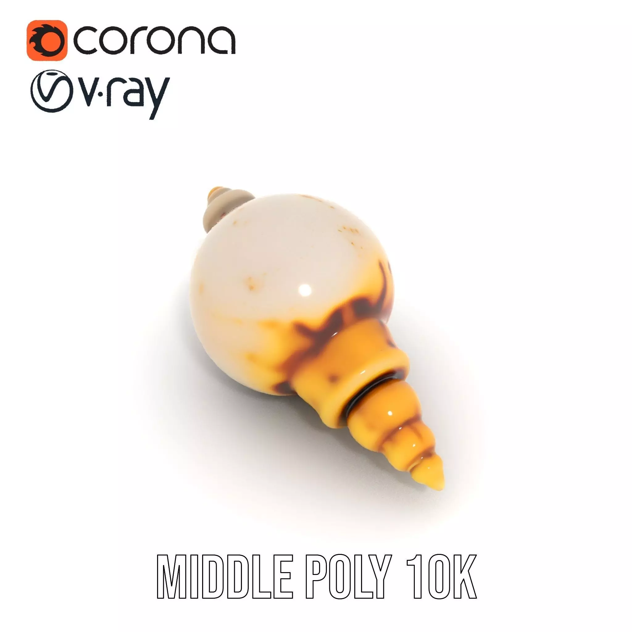 Elegant Sea Shell model pack Low-poly 3D model_13