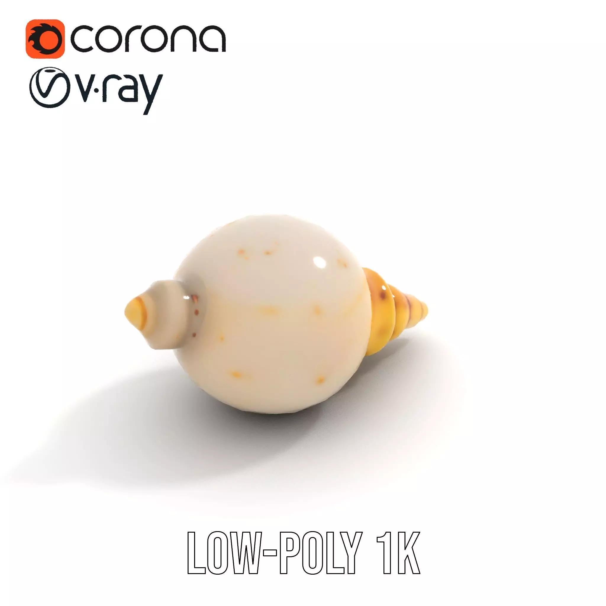 Elegant Sea Shell model pack Low-poly 3D model_22