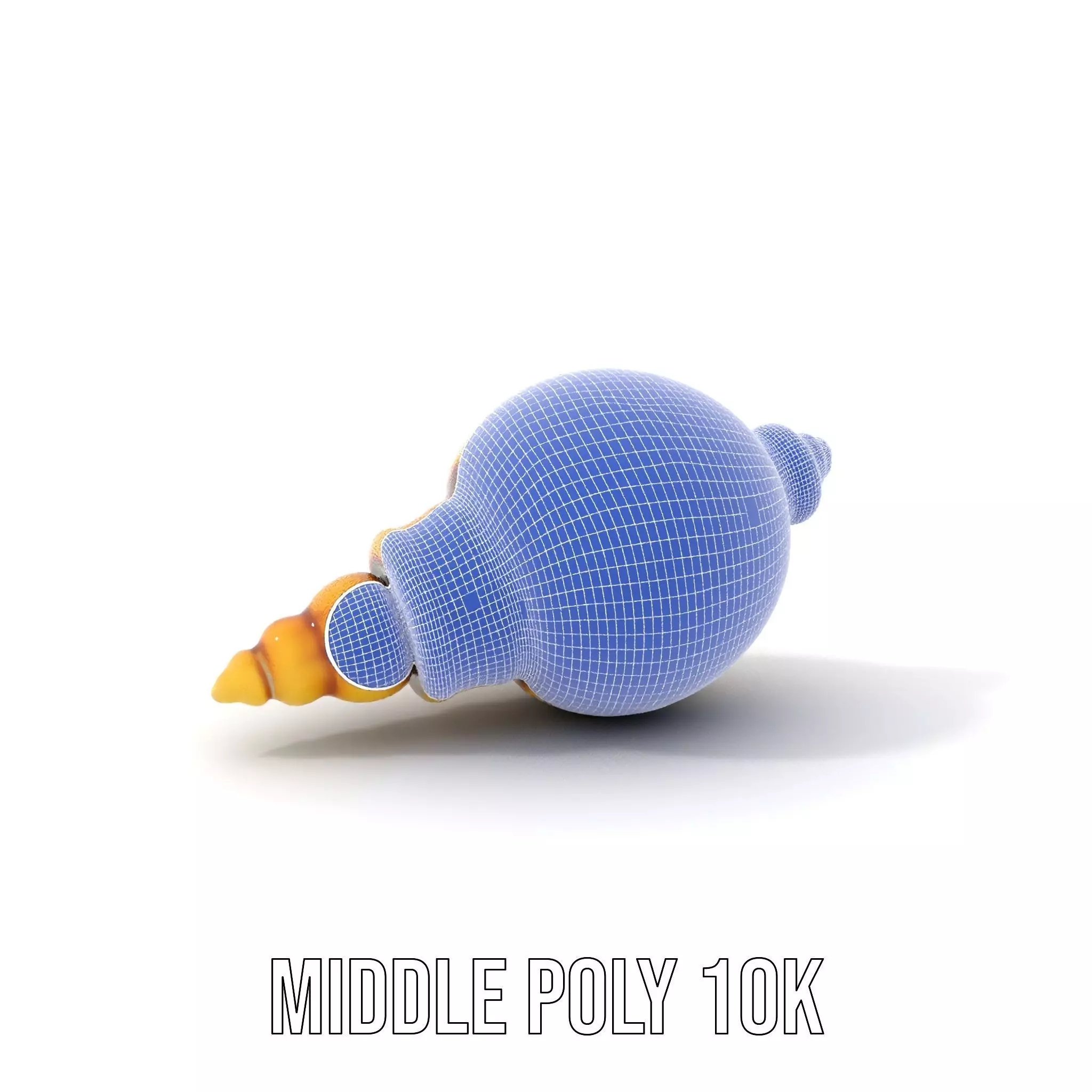 Elegant Sea Shell model pack Low-poly 3D model_16