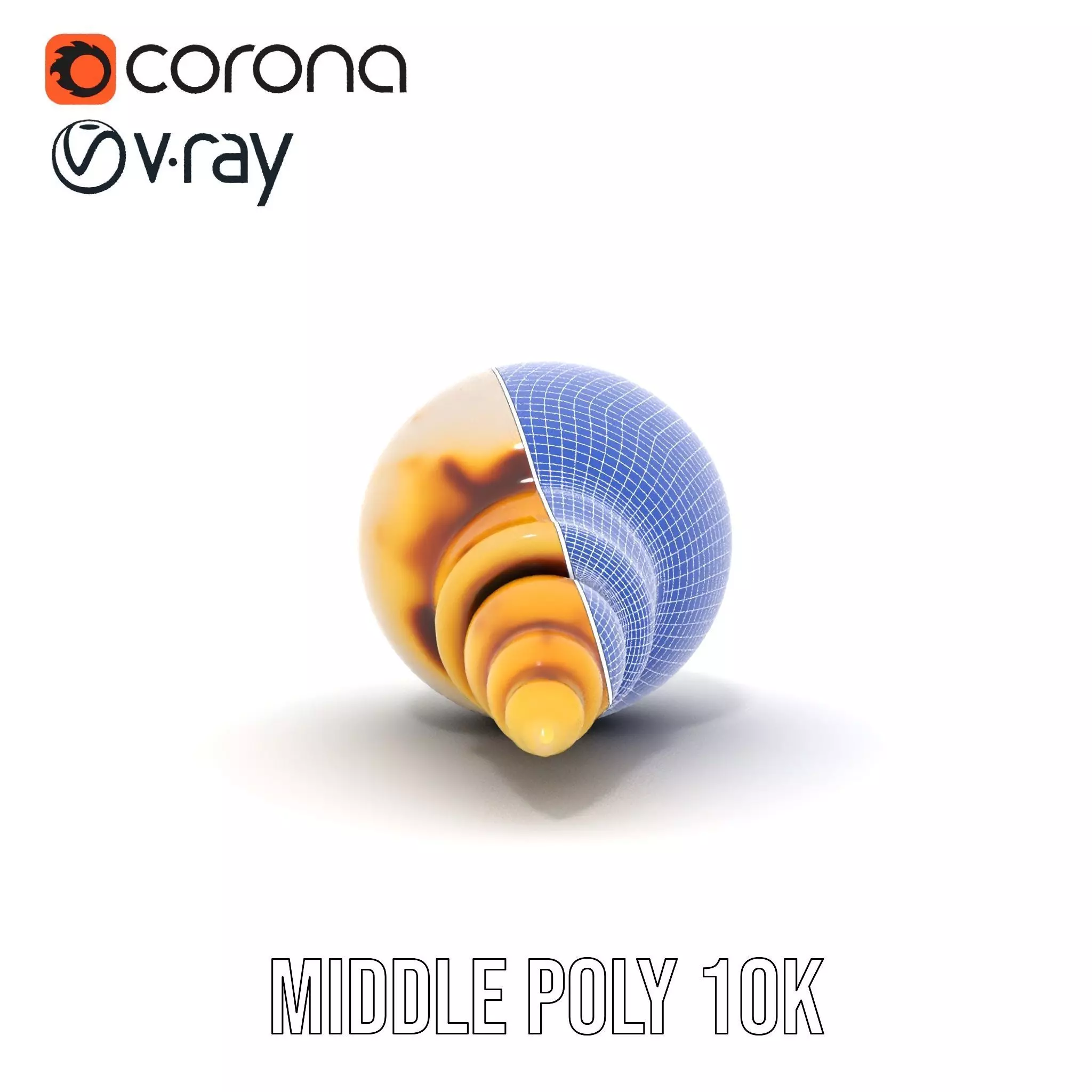 Elegant Sea Shell model pack Low-poly 3D model_21