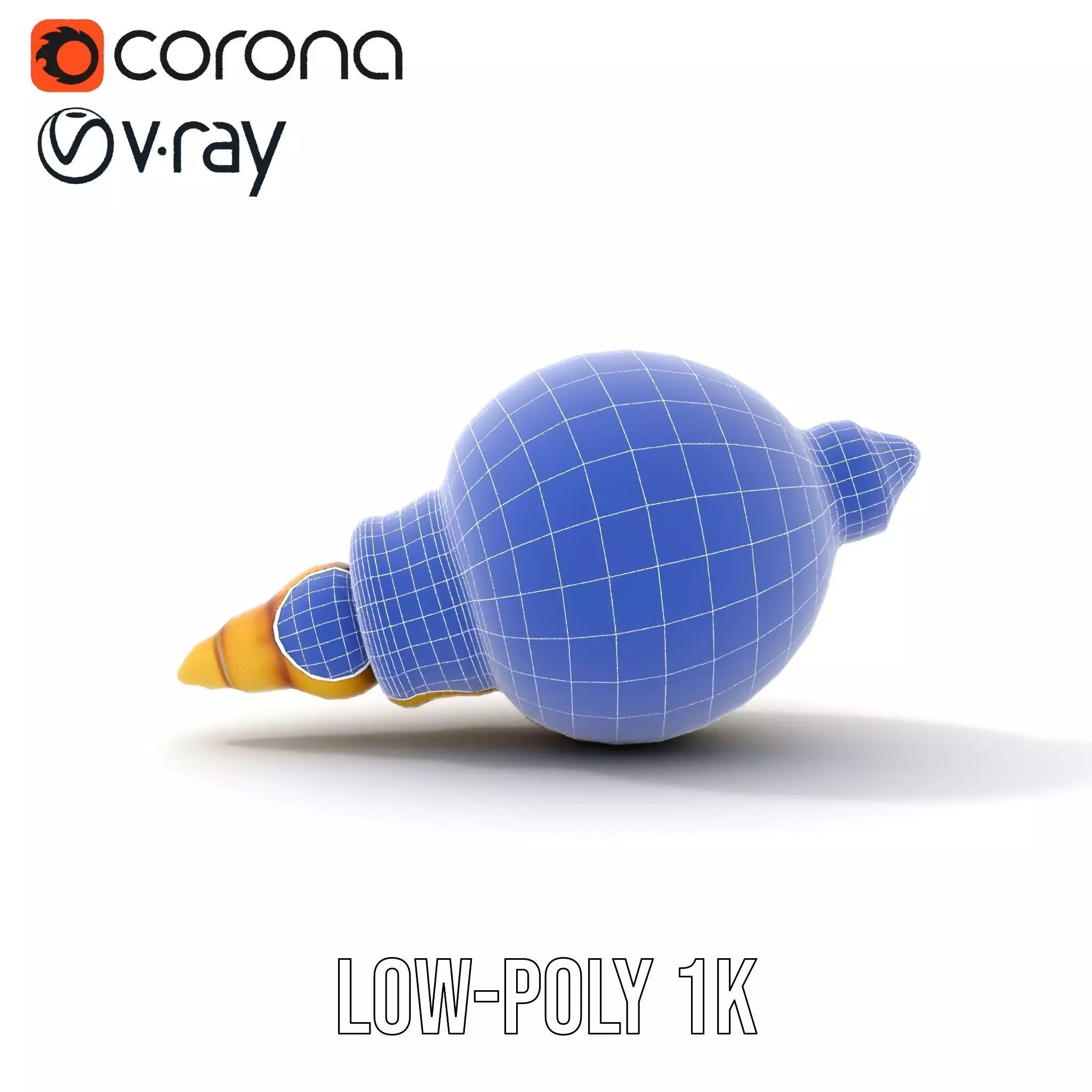Elegant Sea Shell model pack Low-poly 3D model_27