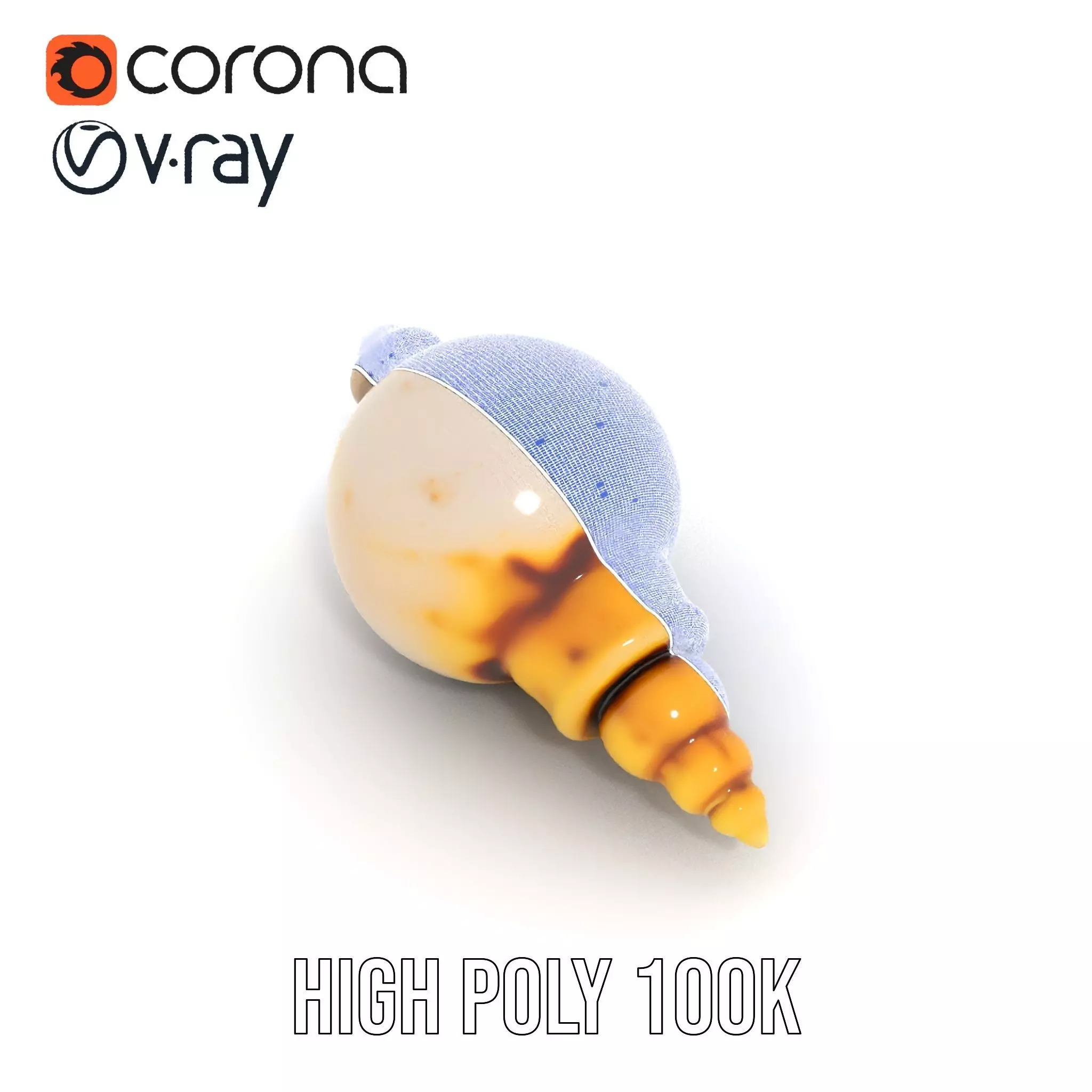 Elegant Sea Shell model pack Low-poly 3D model_32