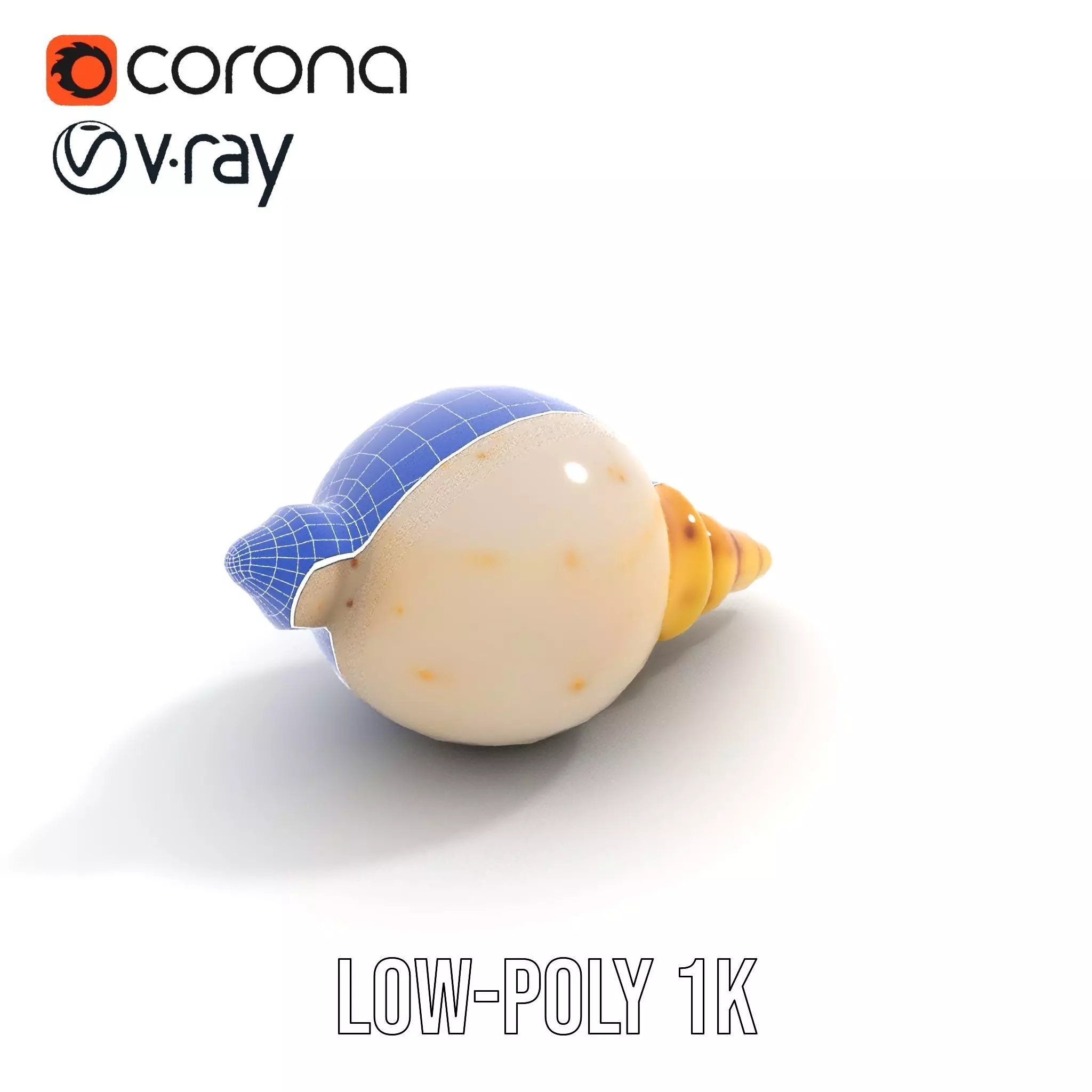 Elegant Sea Shell model pack Low-poly 3D model_14