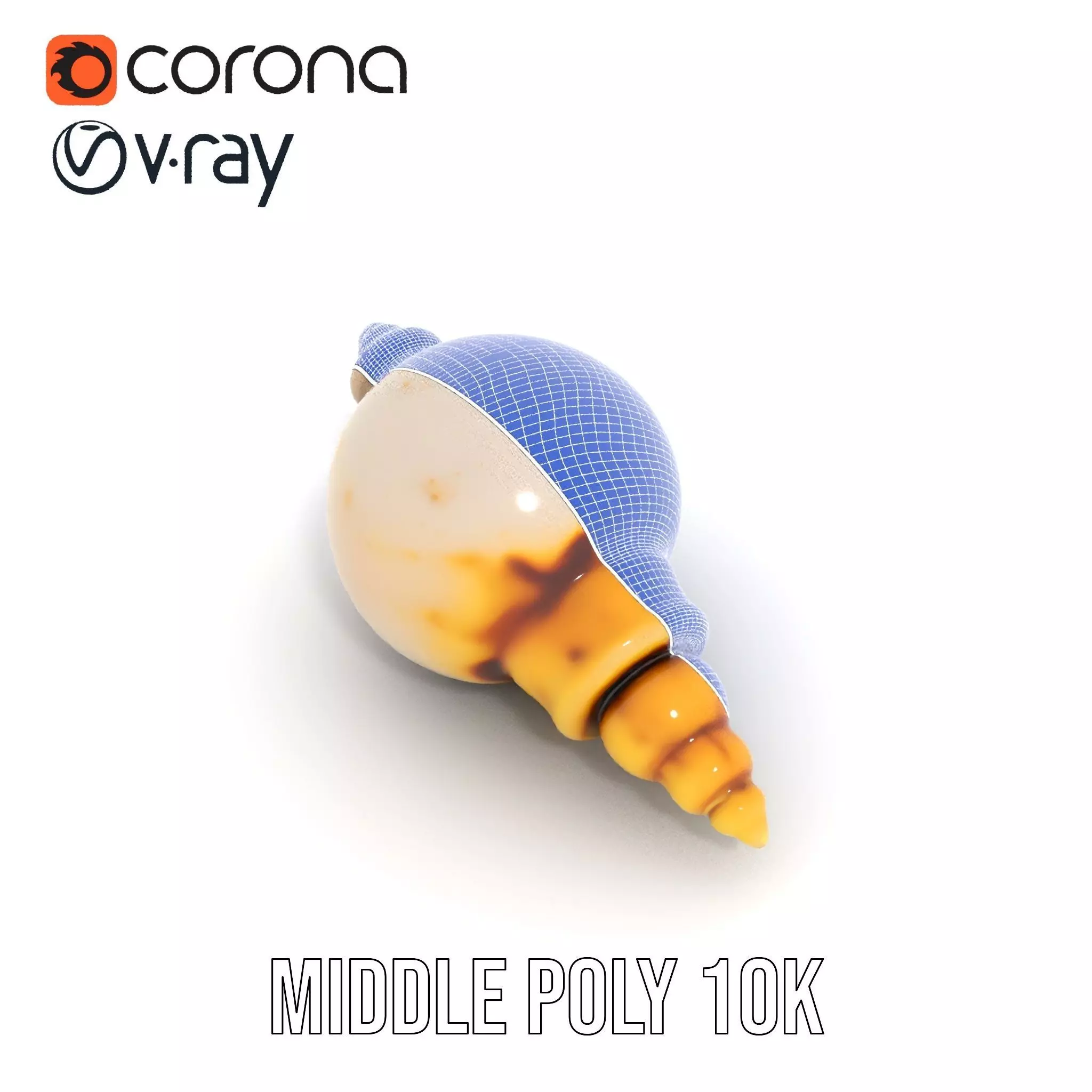 Elegant Sea Shell model pack Low-poly 3D model_26