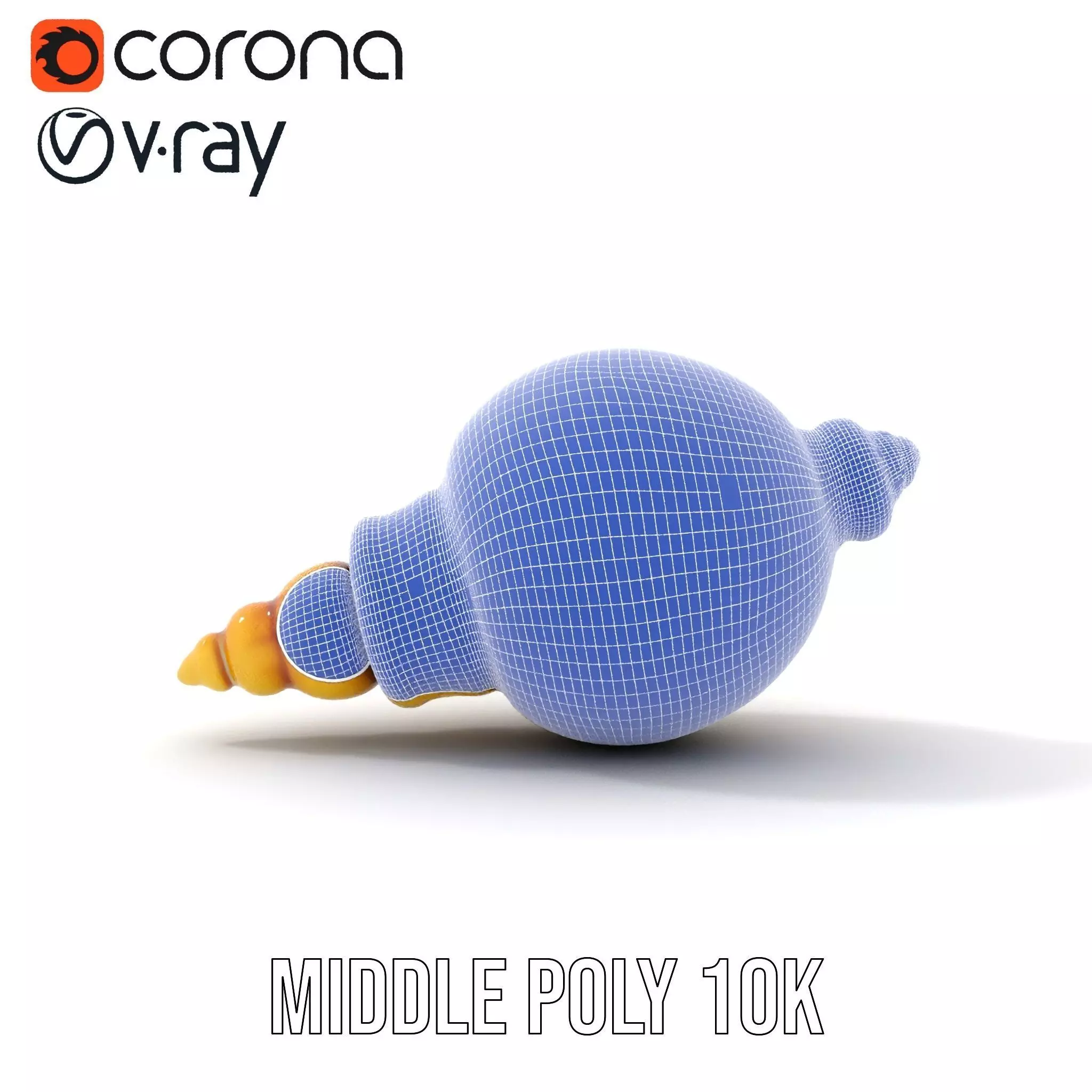 Elegant Sea Shell model pack Low-poly 3D model_18
