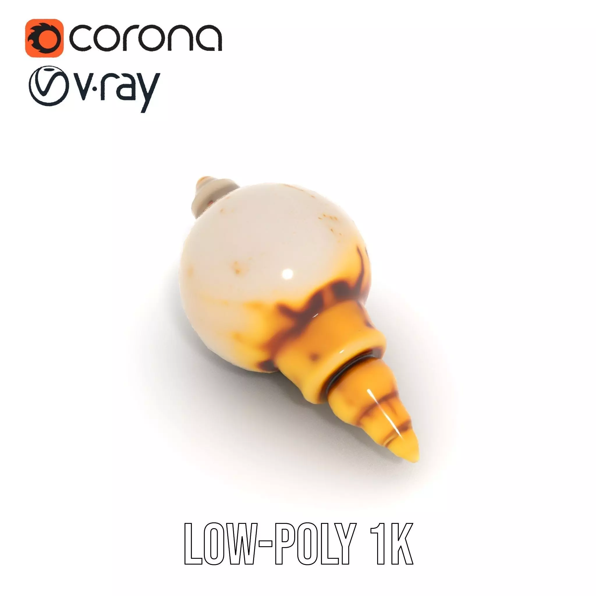 Elegant Sea Shell model pack Low-poly 3D model_9