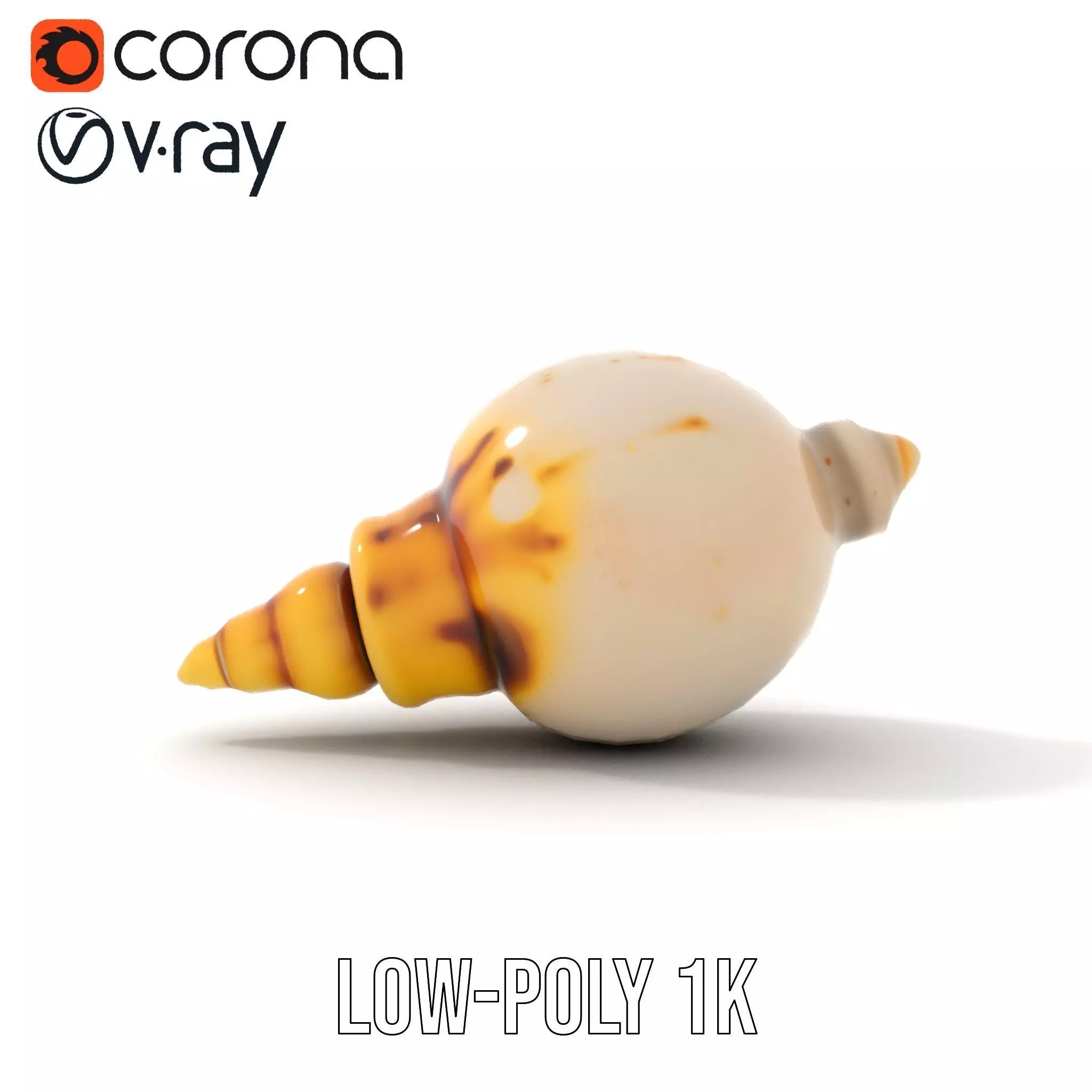 Elegant Sea Shell model pack Low-poly 3D model_17
