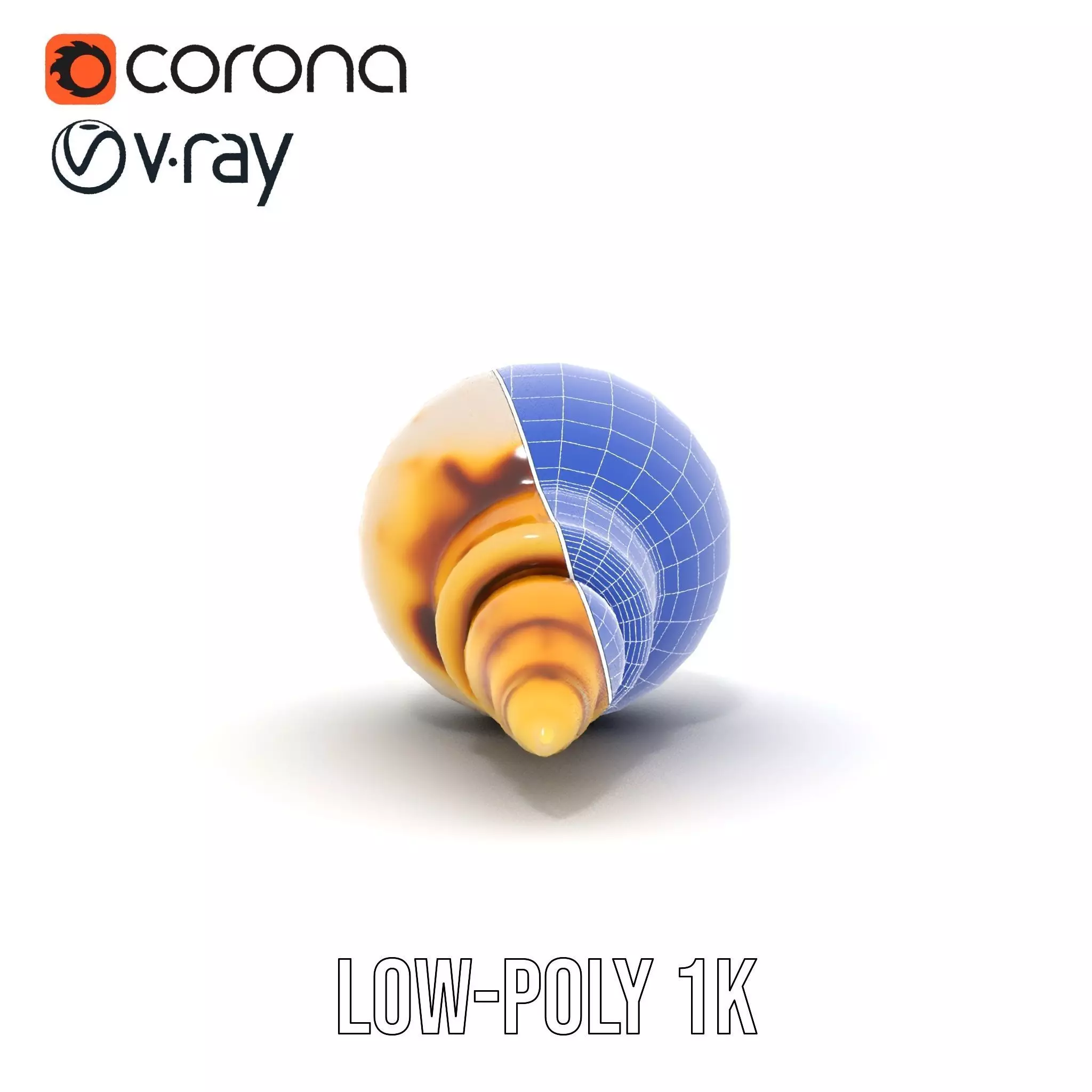 Elegant Sea Shell model pack Low-poly 3D model_30