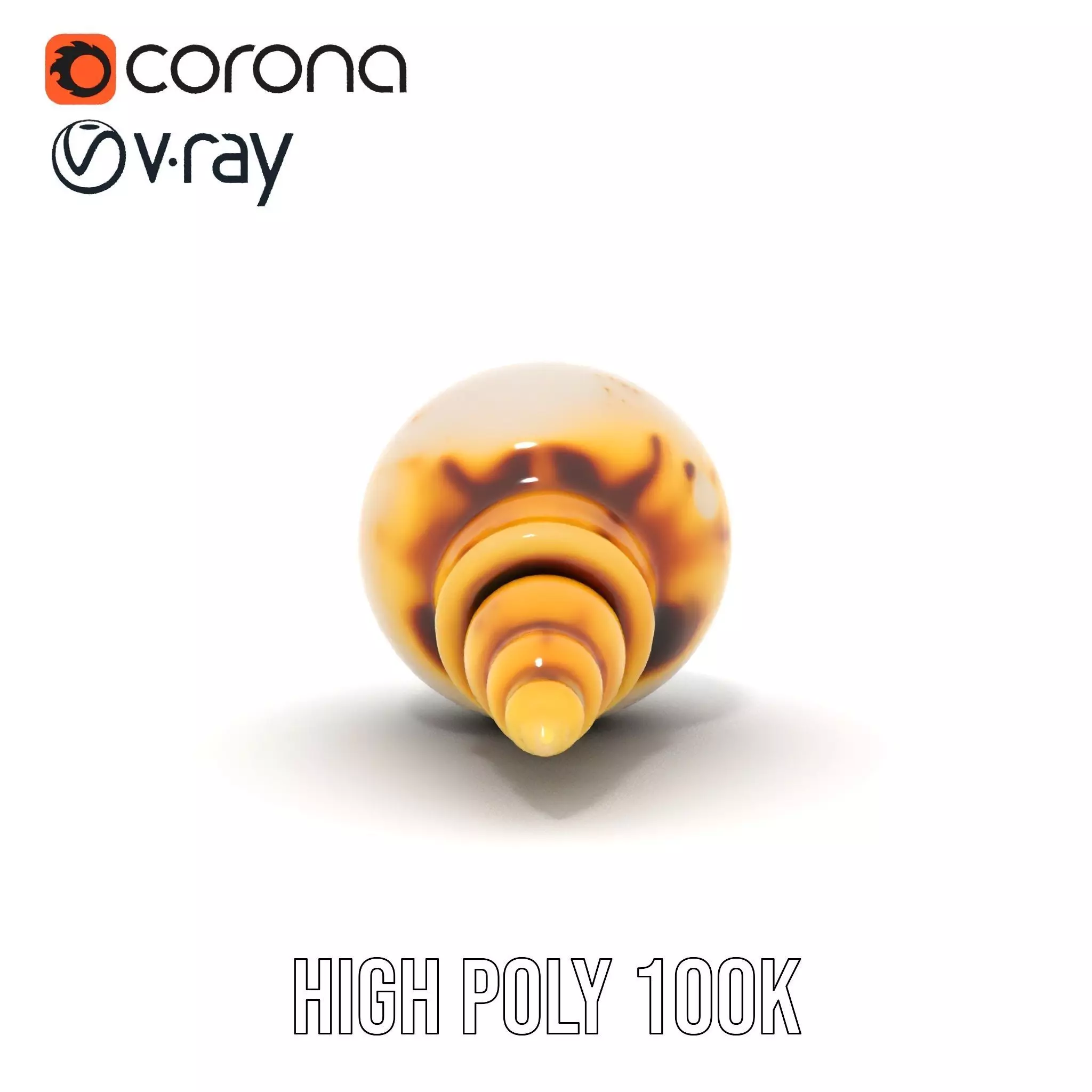 Elegant Sea Shell model pack Low-poly 3D model_28