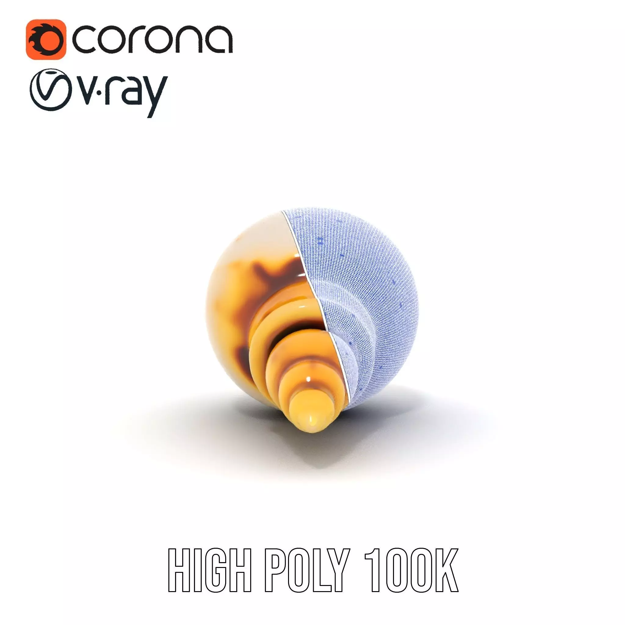 Elegant Sea Shell model pack Low-poly 3D model_34
