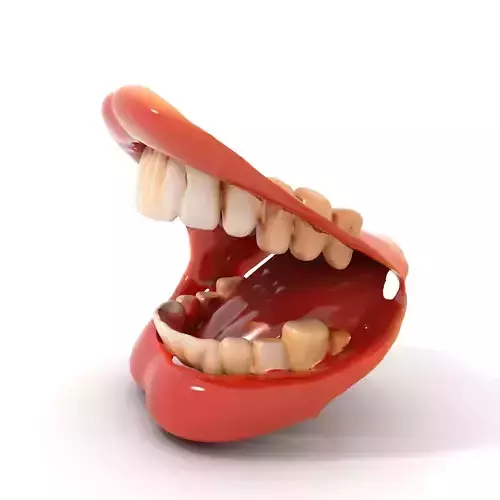 Realistic Human Teeth model pack