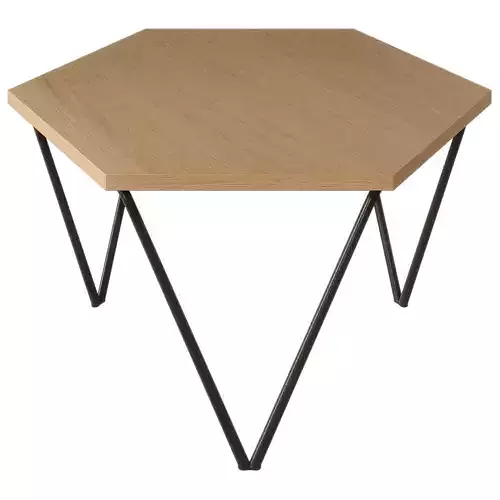 Gio Ponti Coffee Table