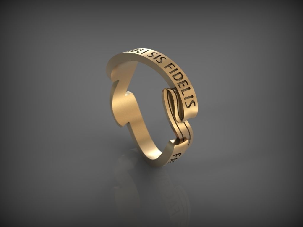 Ring FAC FIDELI SIS FIDELIS 3D print model_2