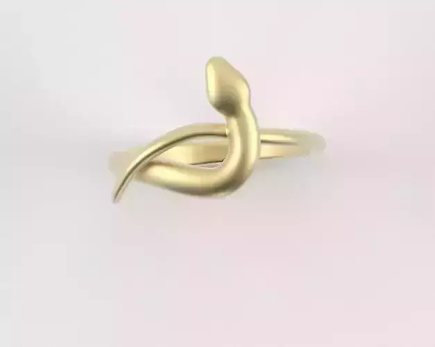 Crossed Snake Ring - Thank you for your feedback