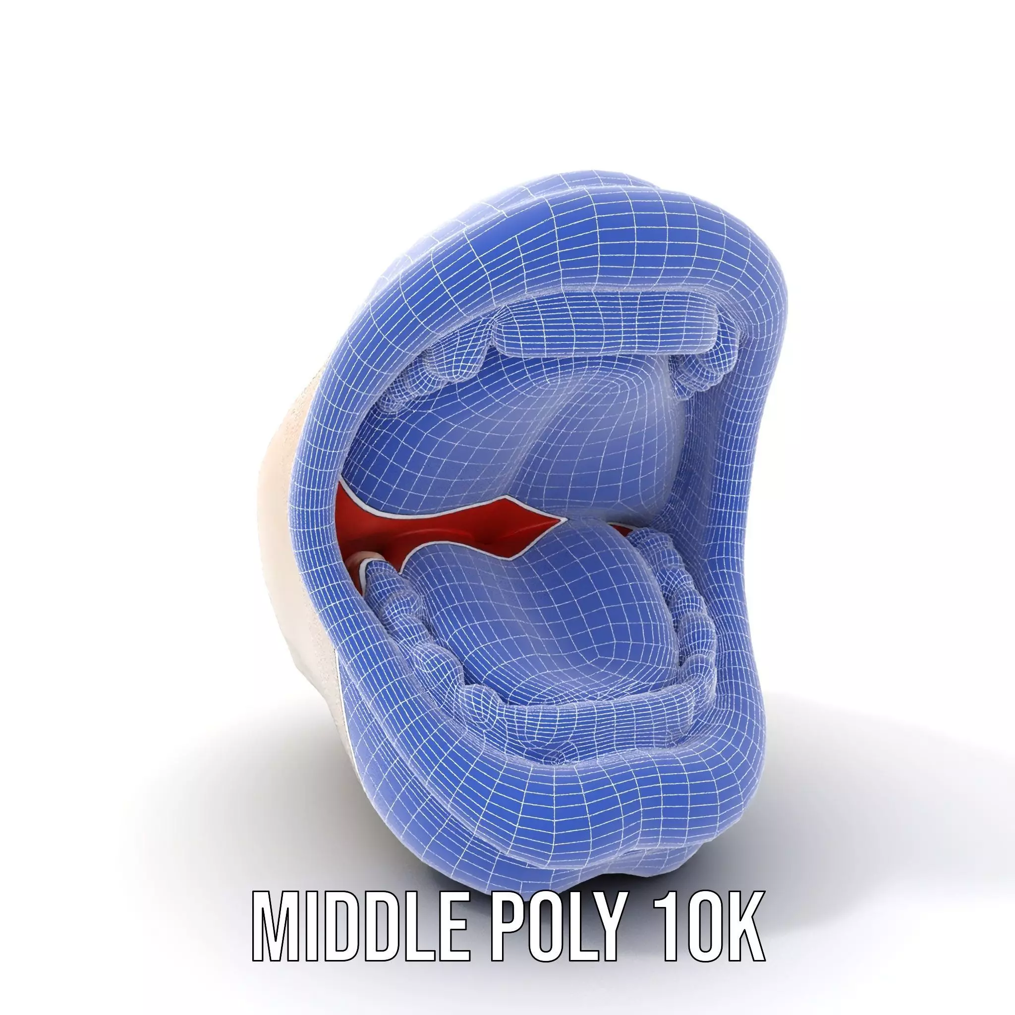 Open Mouth Expression model pack Low-poly 3D model_24