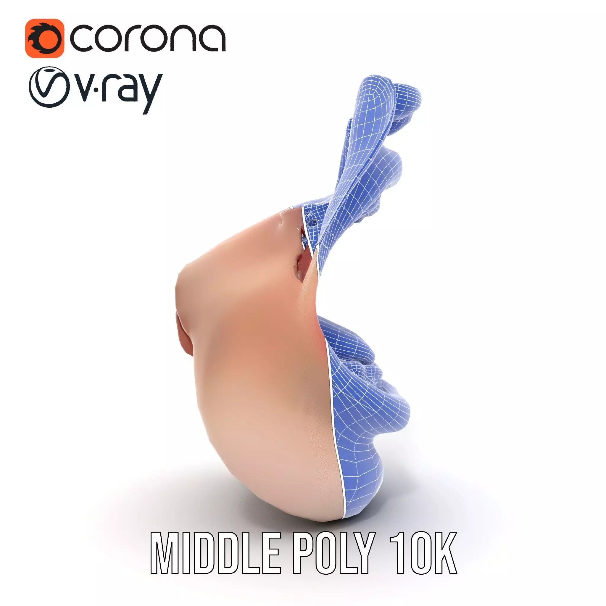 Realistic Human Mouth model pack Low-poly 3D model_29