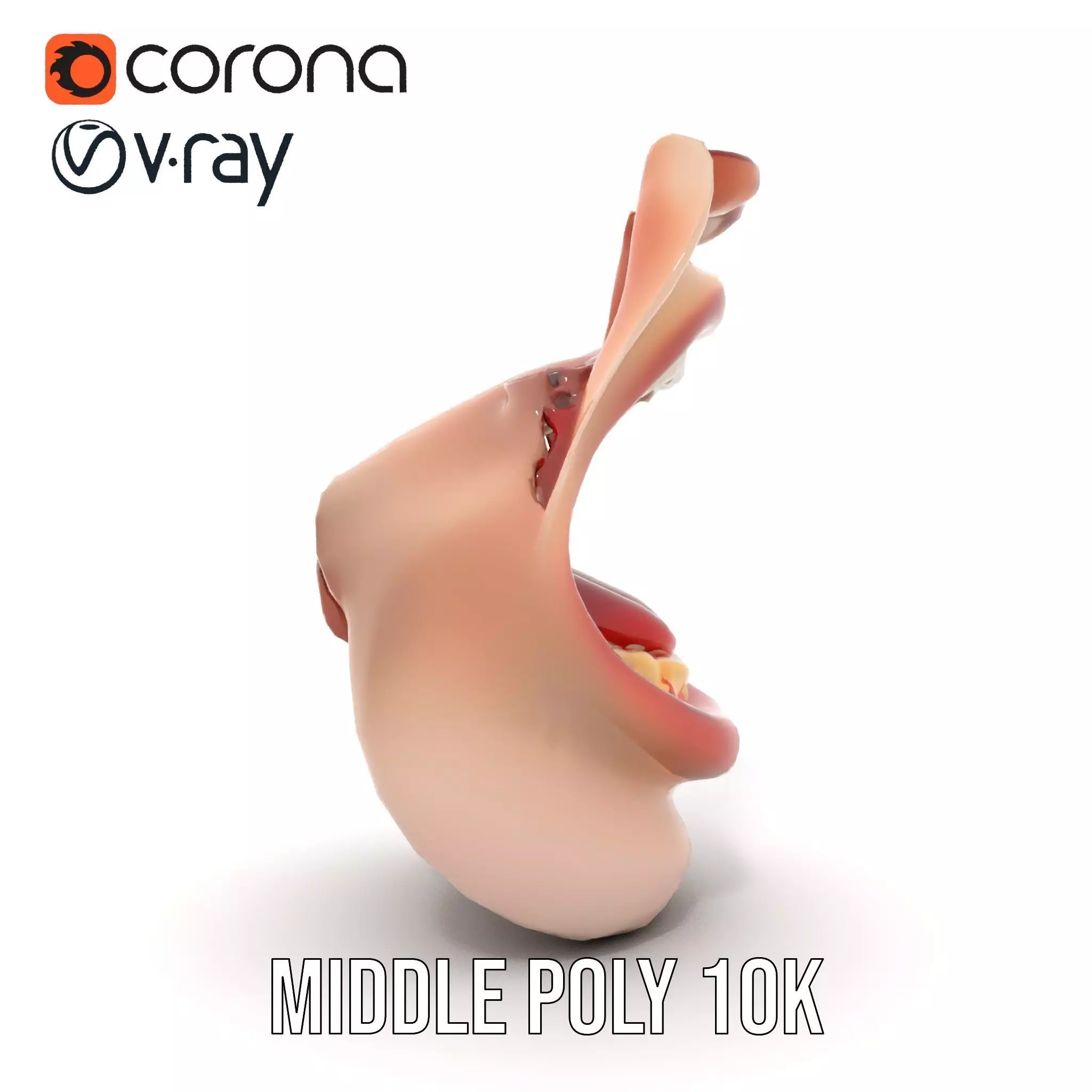 Realistic Human Mouth model pack Low-poly 3D model_11