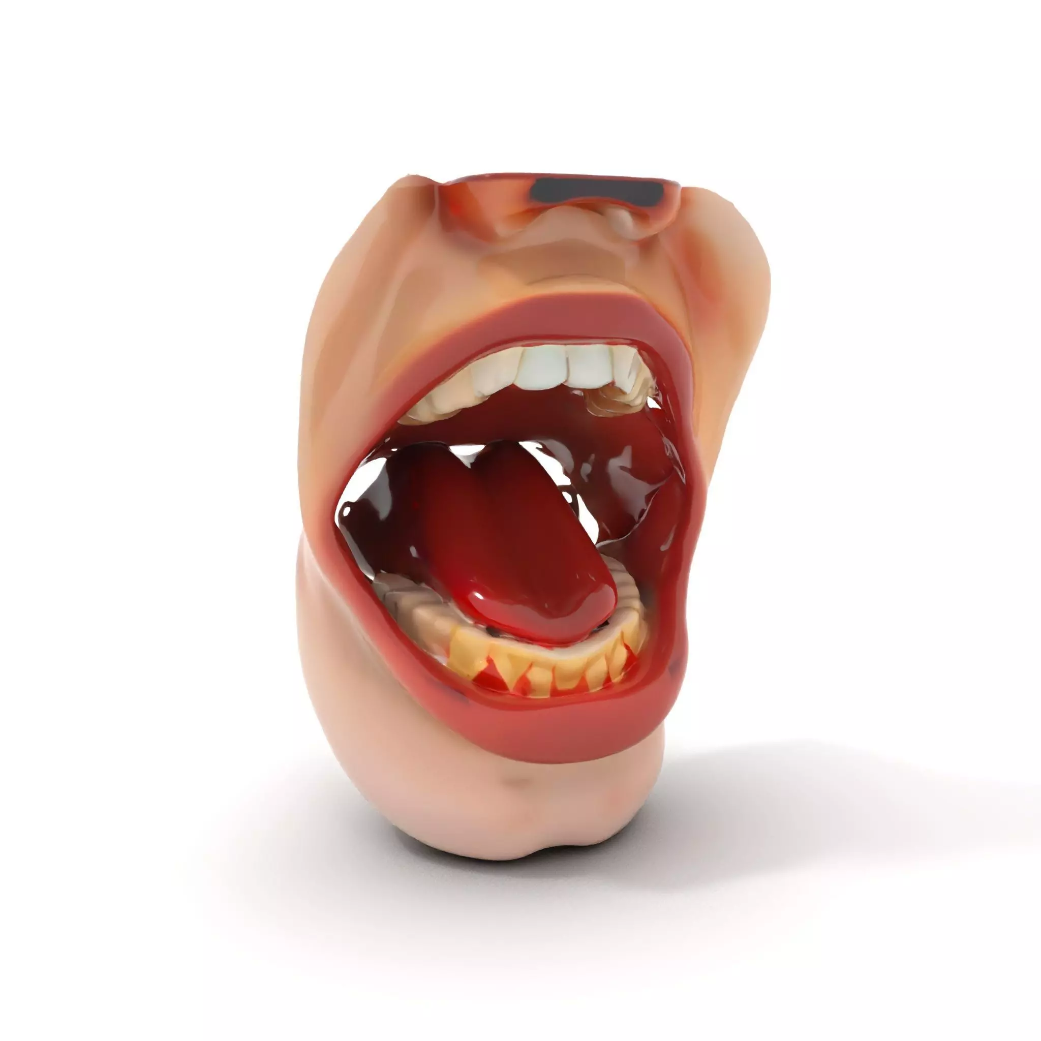 Realistic Human Mouth model pack Low-poly 3D model_0