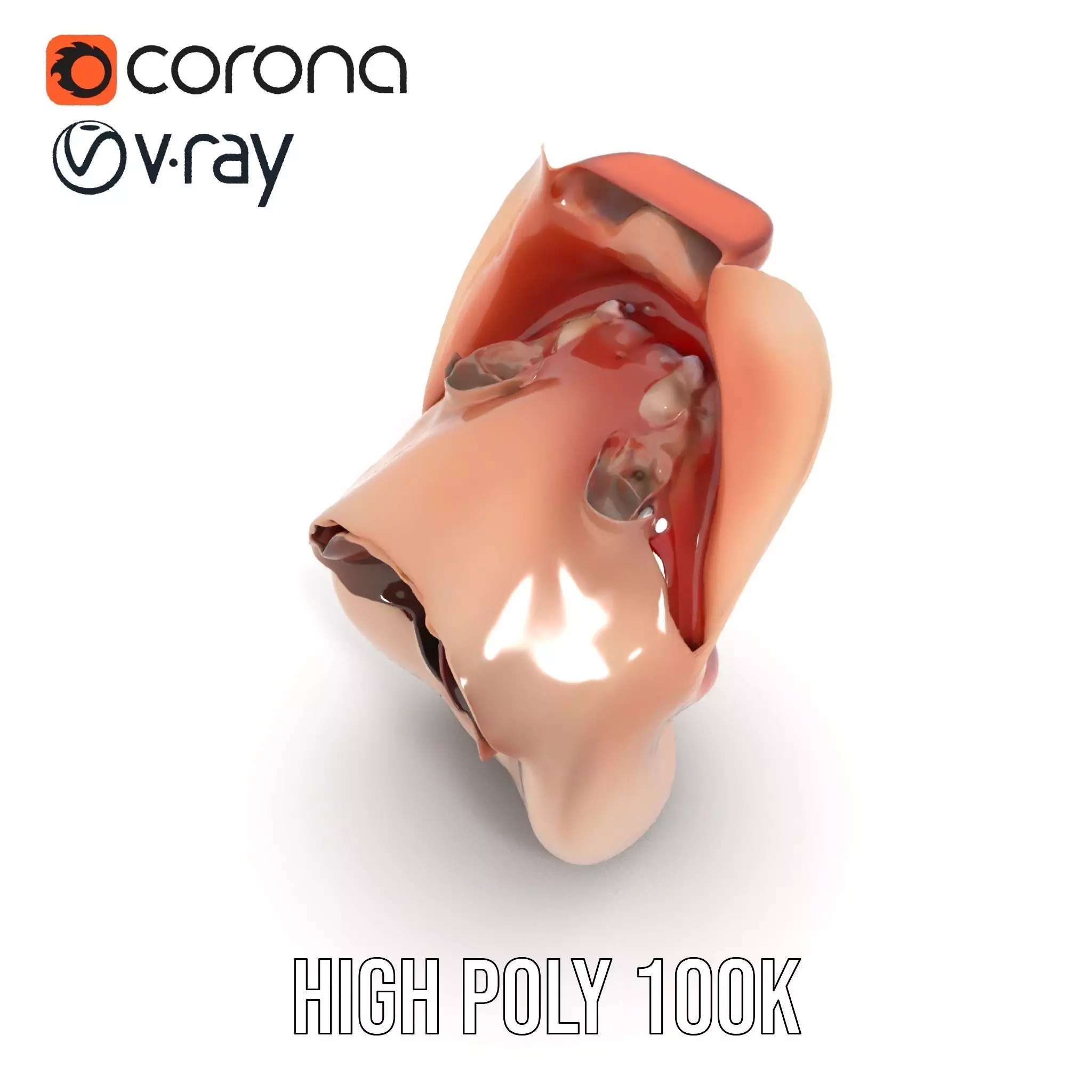 Realistic Human Mouth model pack Low-poly 3D model_25