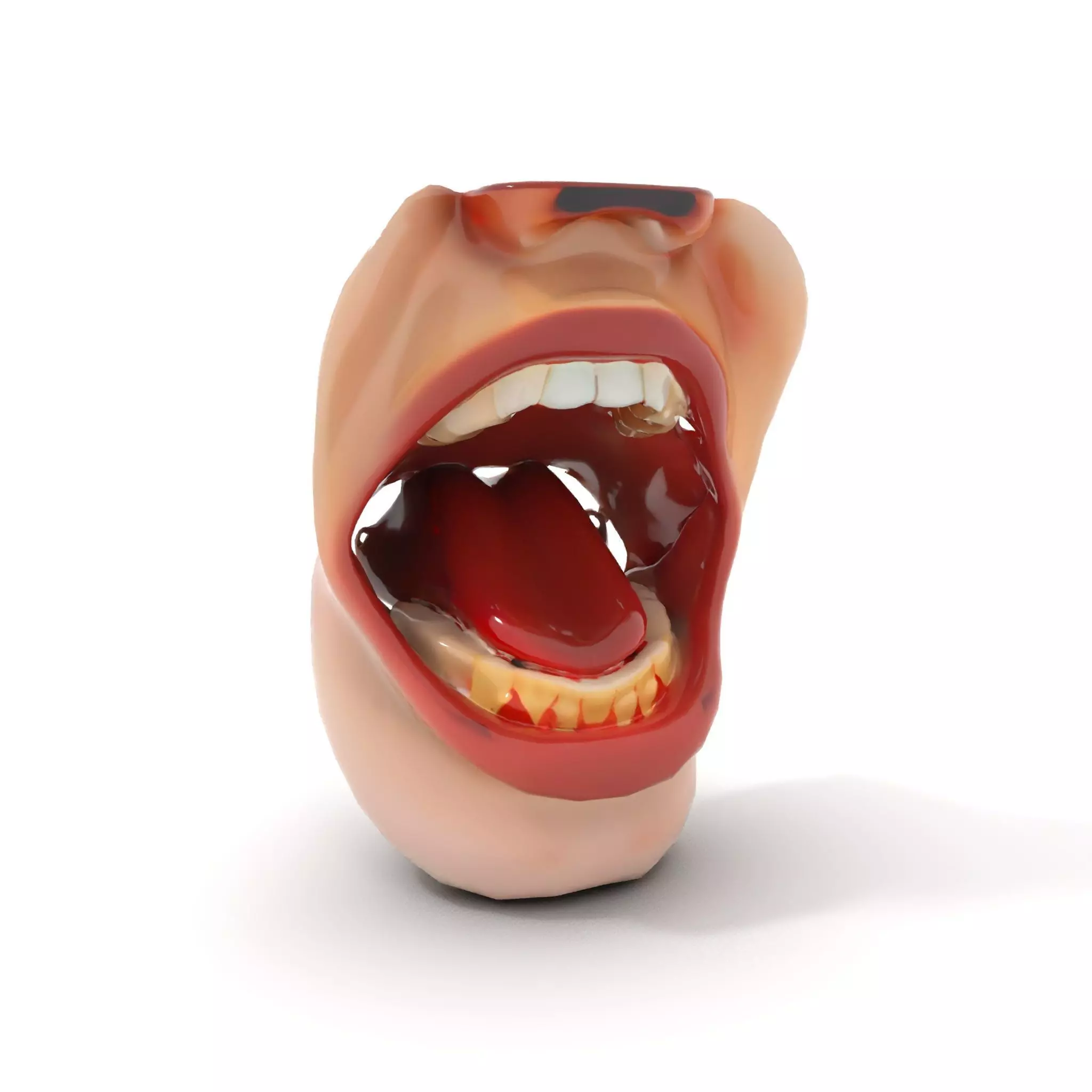 Realistic Human Mouth model pack Low-poly 3D model_13