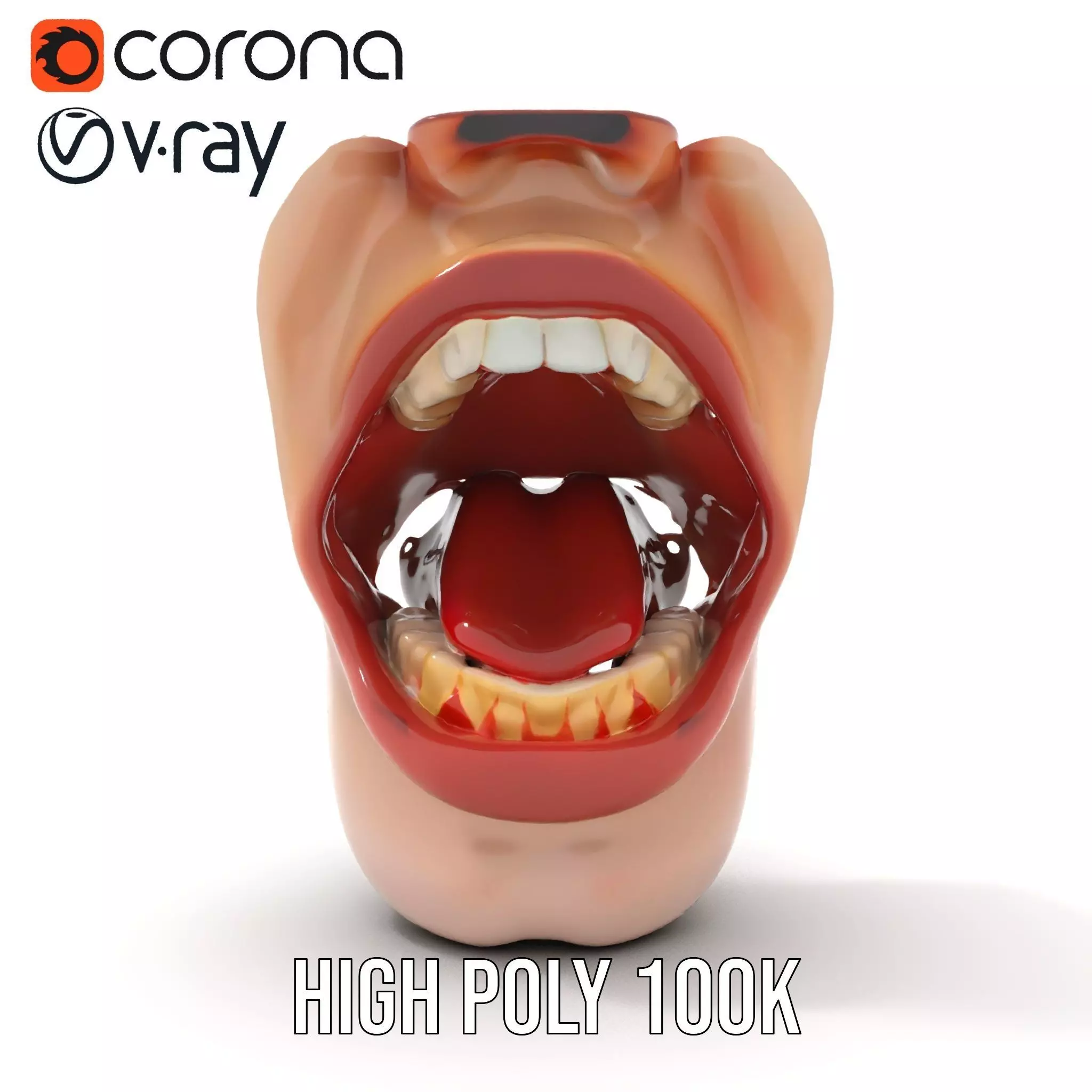 Realistic Human Mouth model pack Low-poly 3D model_15