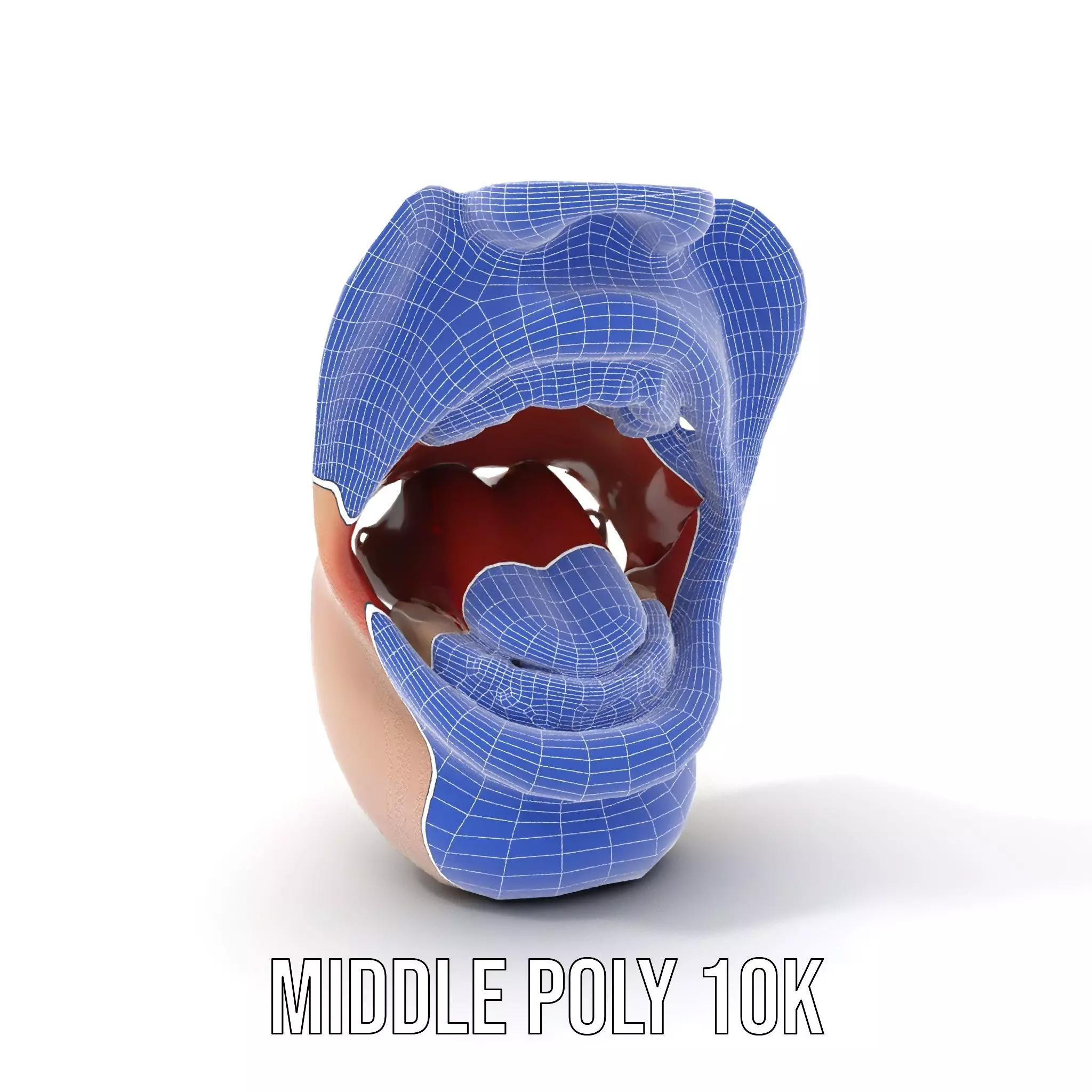 Realistic Human Mouth model pack Low-poly 3D model_19