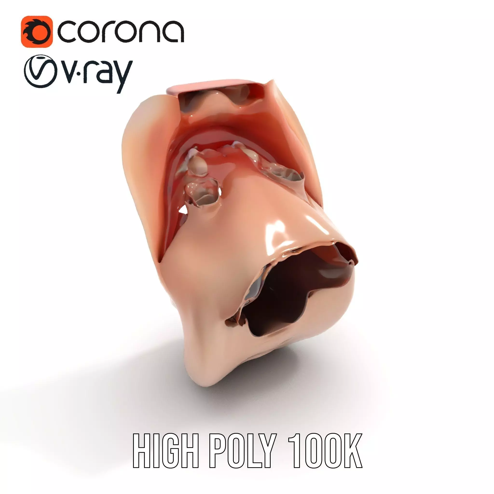 Realistic Human Mouth model pack Low-poly 3D model_18