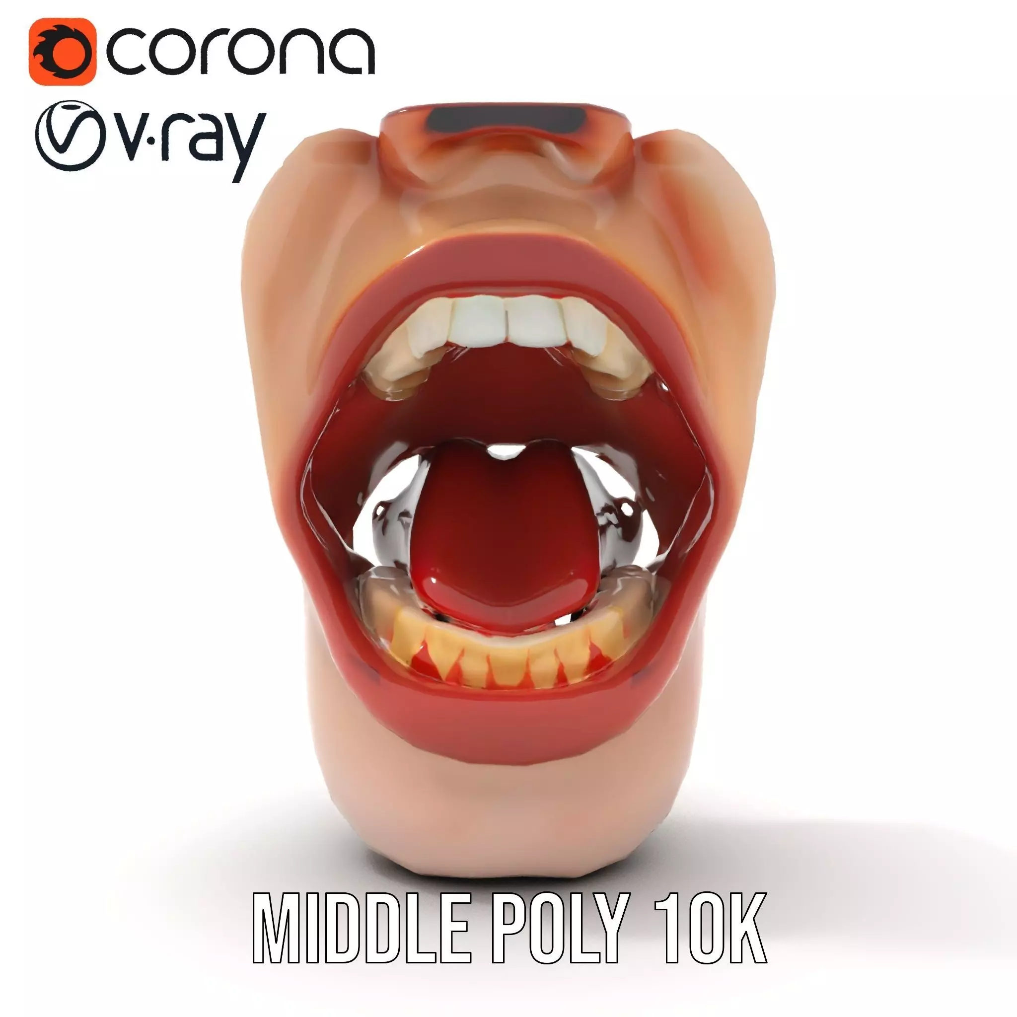 Realistic Human Mouth model pack Low-poly 3D model_16