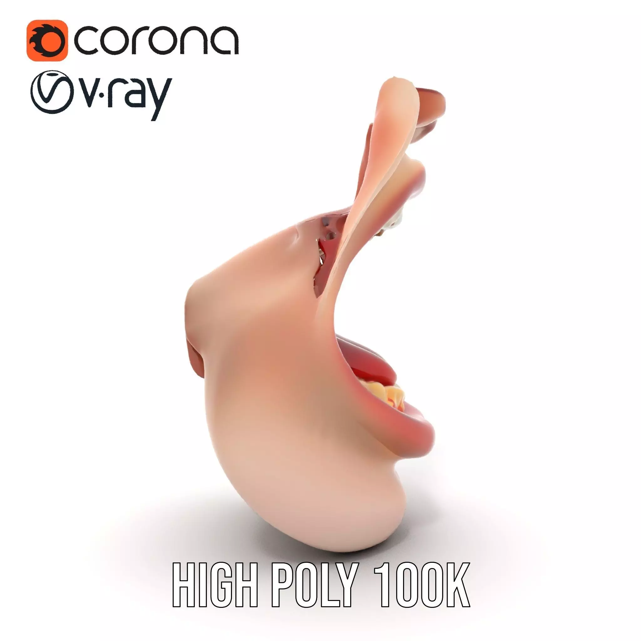 Realistic Human Mouth model pack Low-poly 3D model_31