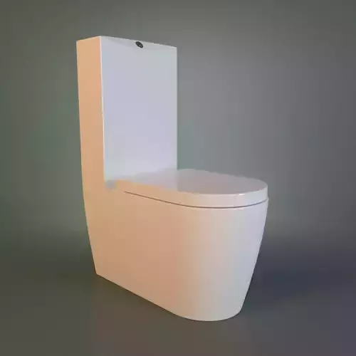 White Acrylic Toilet Bowl