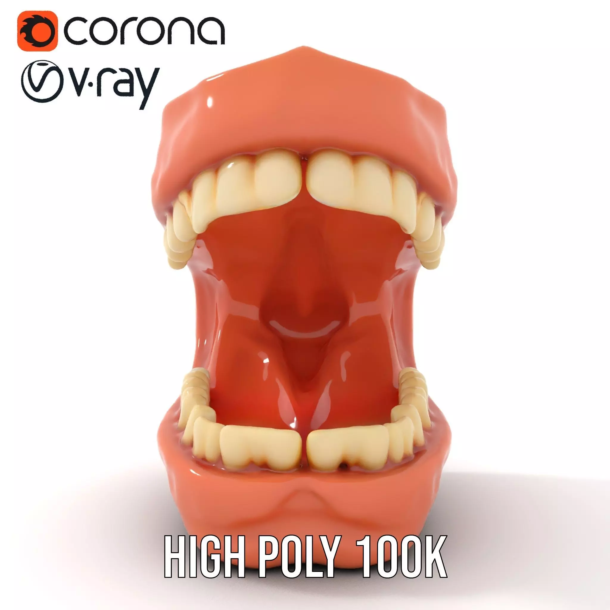 Realistic Dentist Teeth model pack Low-poly 3D model_21