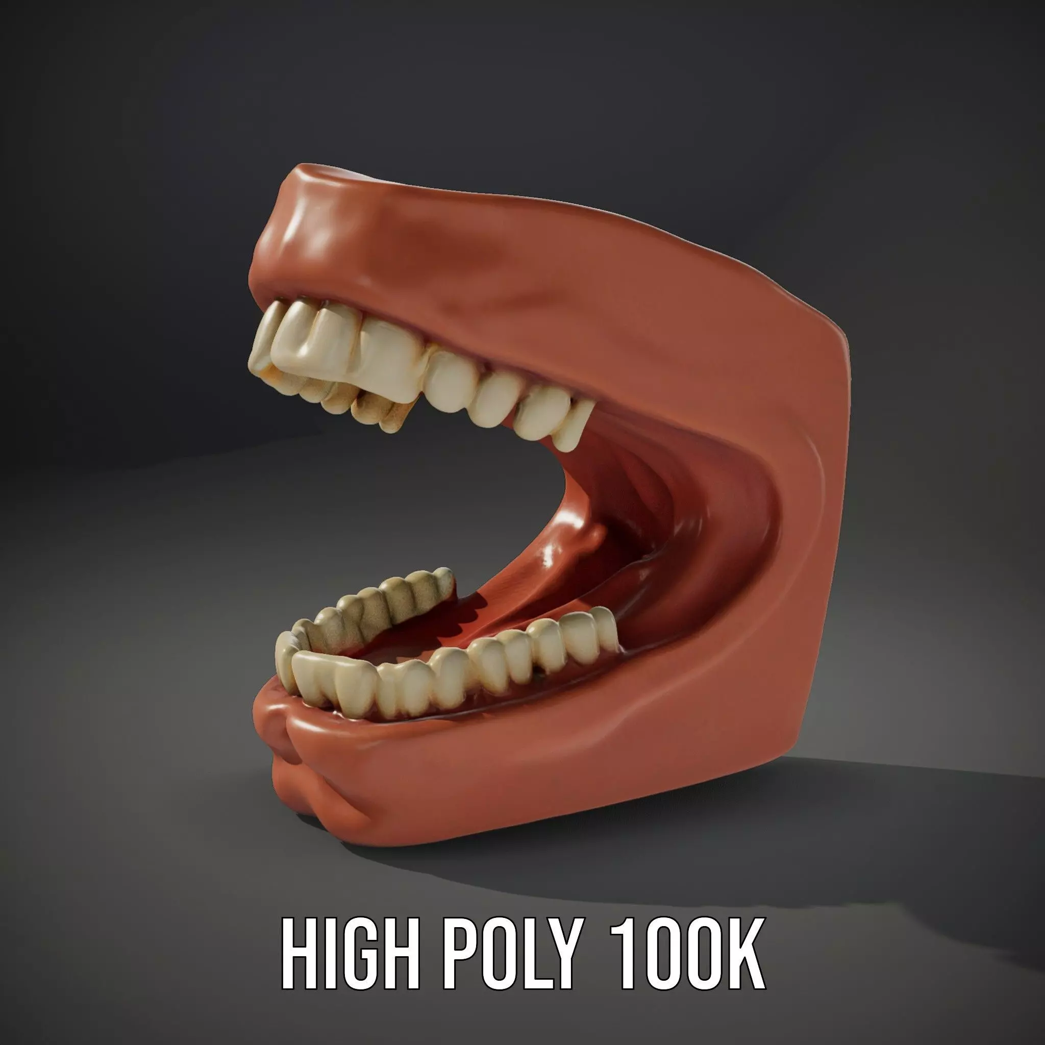 Realistic Dentist Teeth model pack Low-poly 3D model_8